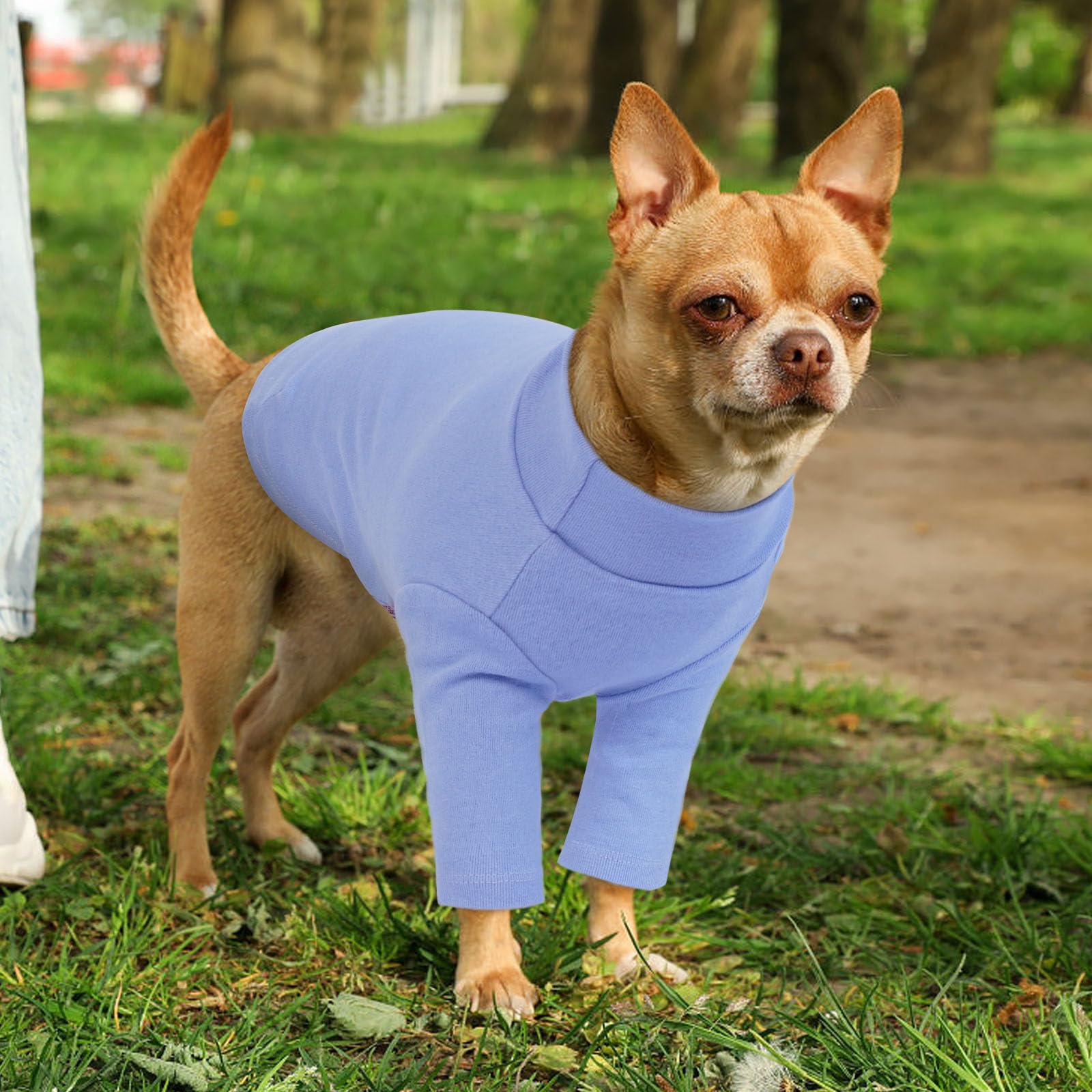 2 Pack Xl Letsqk Pullover Dog Tee For Small Breeds, Stretchy Dog T-Shirt Perfect For Spring, Preventing Pet From Losing Heat Aft
