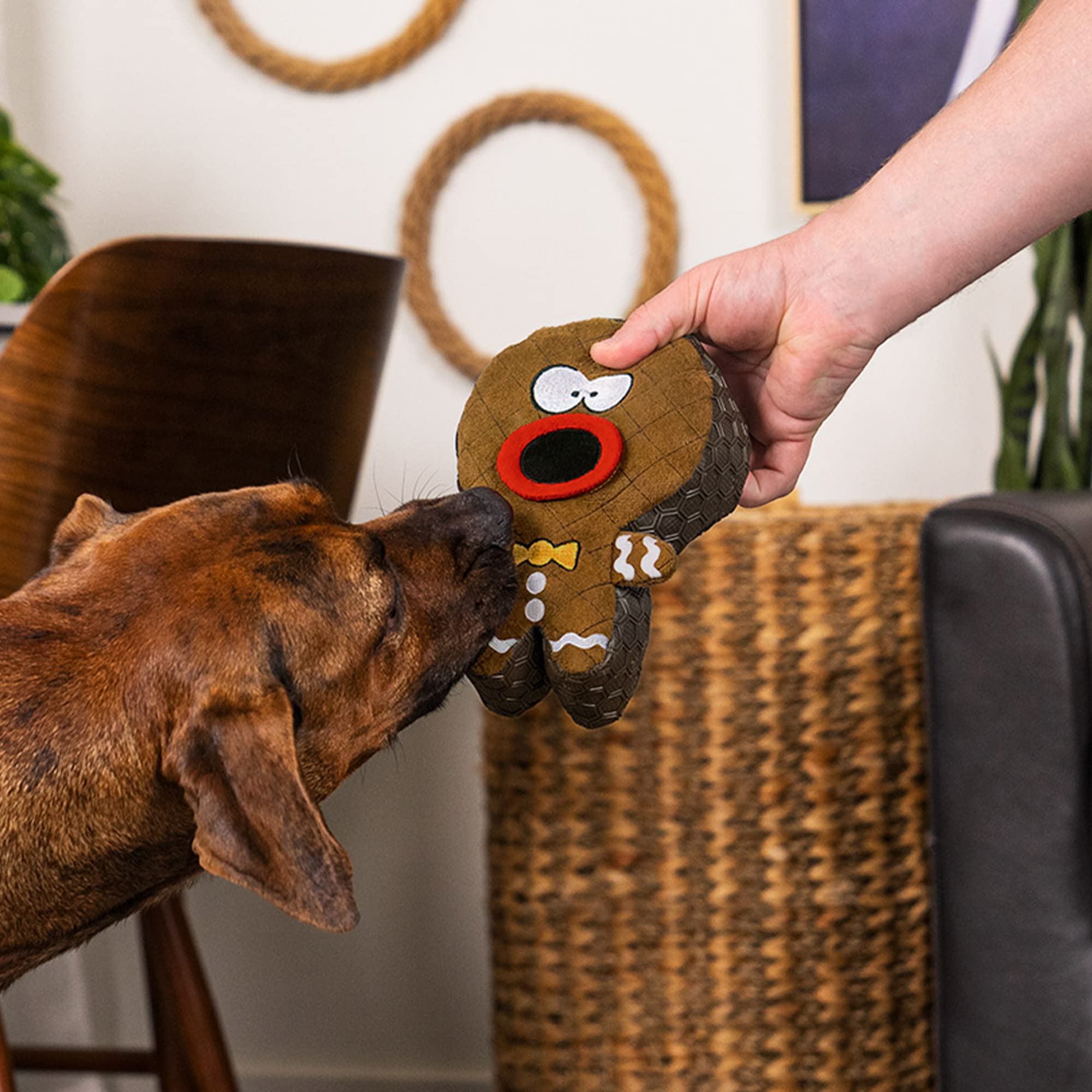 Godog Holiday Collection Mixed Materials Tpe-Plush Gingerbread Man Squeaky Dog Toy, Chew Guard Technology - Brown, One Size