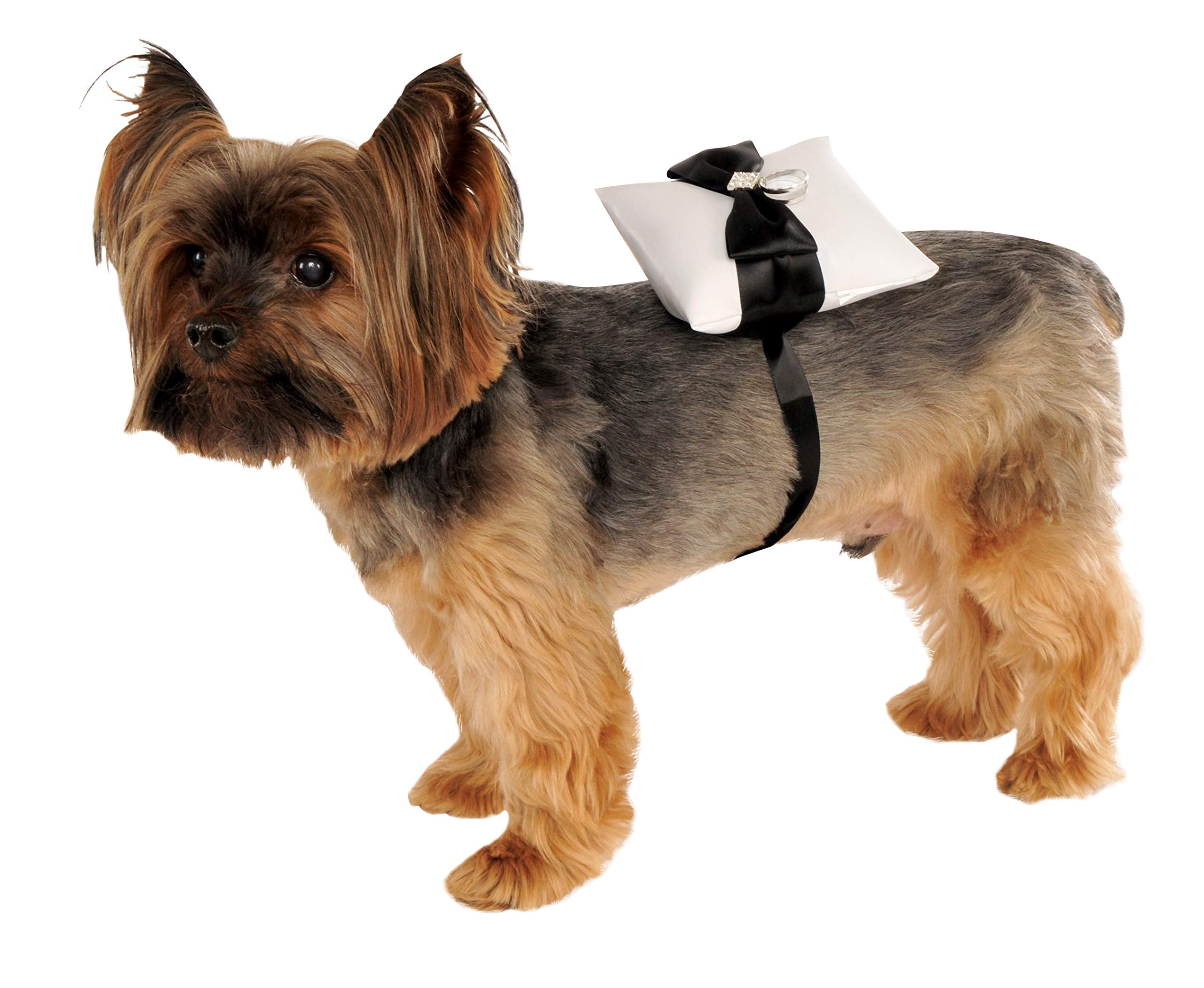 Rubies Pet/Dog Ring Bearer Pillow