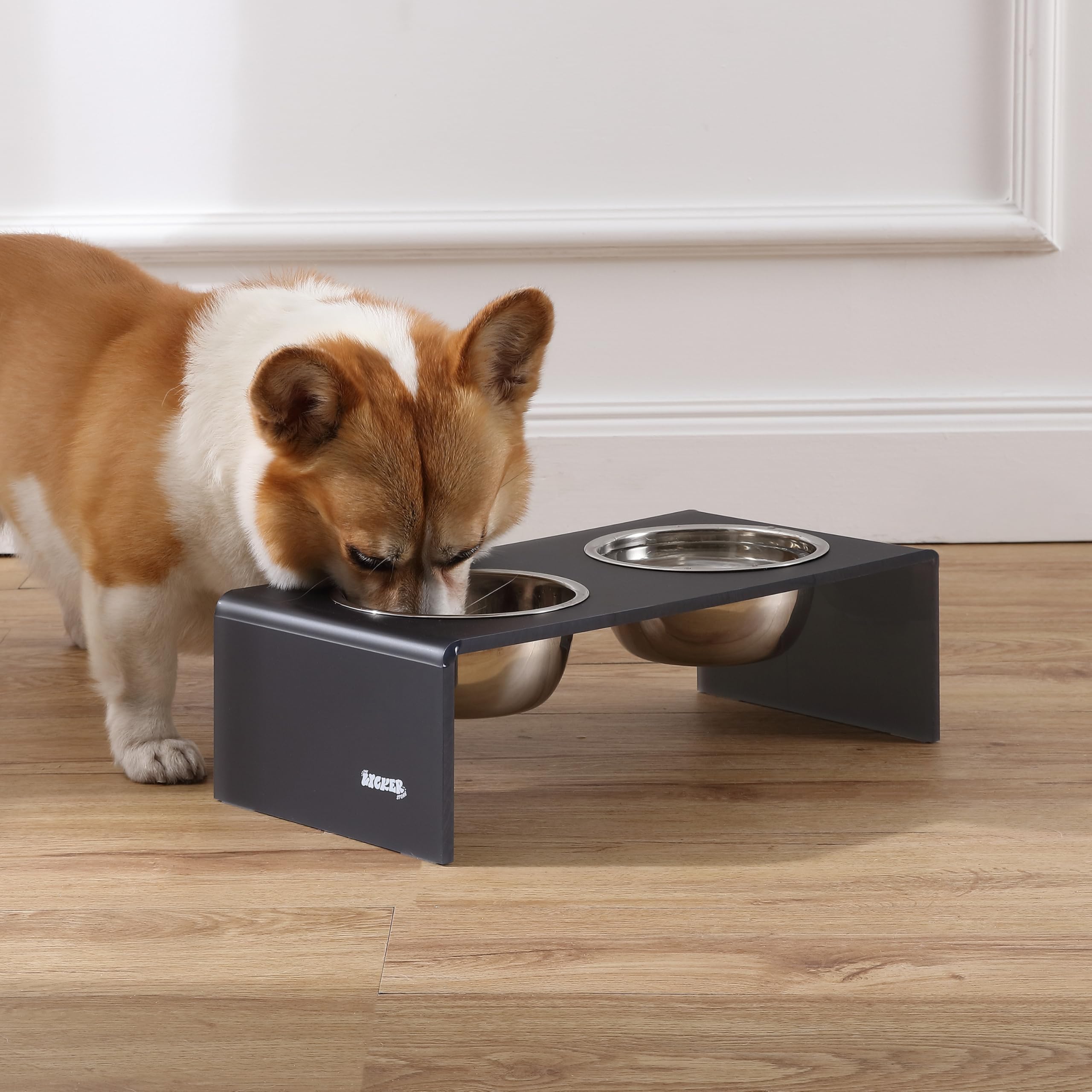 The LICKER Store DBL2000J Keaton 5 Small/Medium Modern Acrylic Rectangular Elevated Pet Feeder with 20oz 2-Stainless Steel Bowls