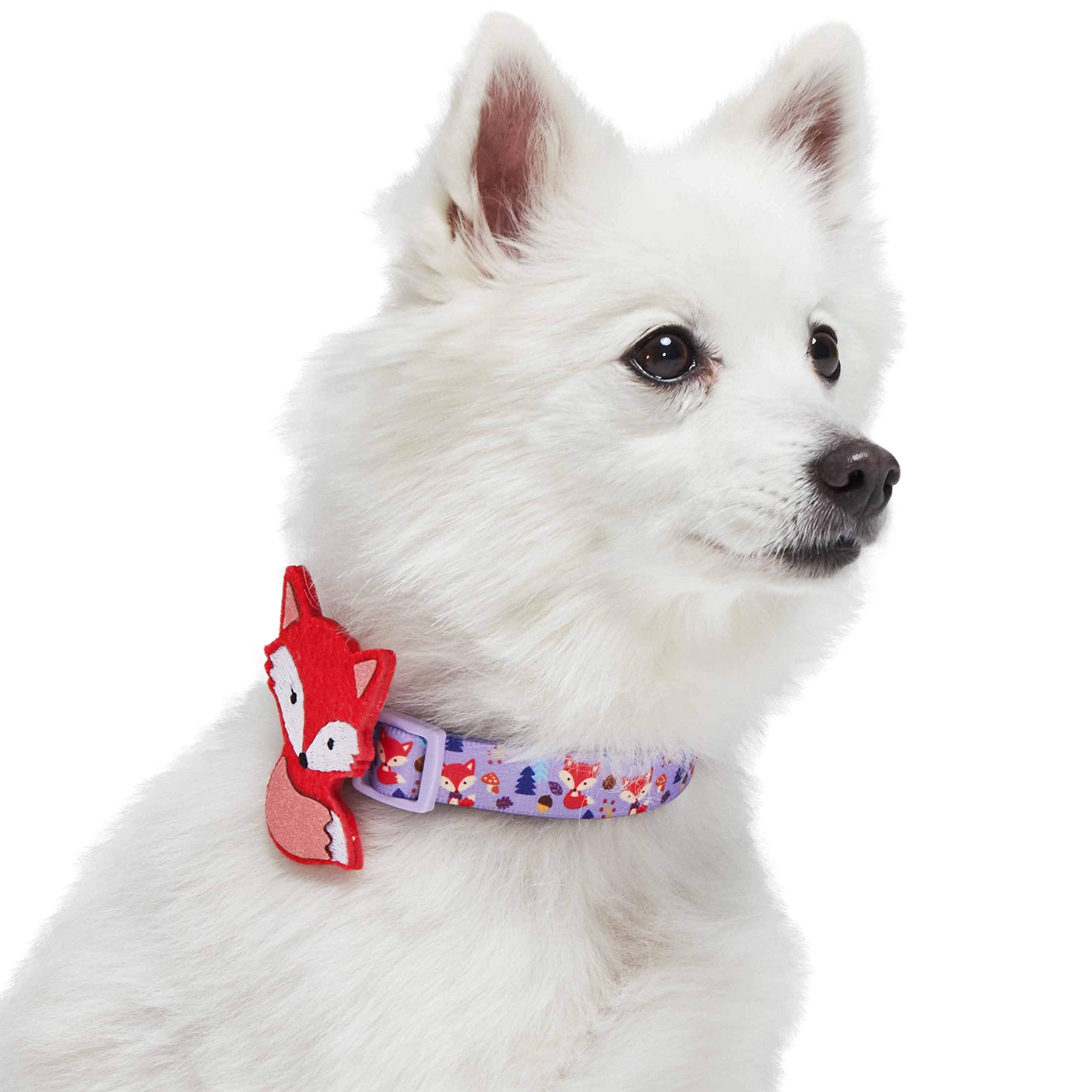 Blueberry Pet Red Fox Adjustable Dog Collar With Detachable D  Cor, Small, Neck 12-16