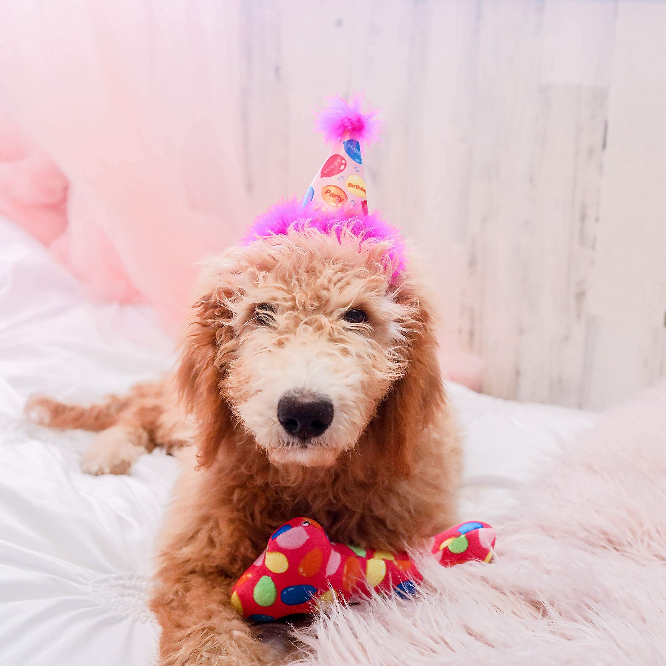 Huxley & Kent For Dogs | Party Time Pink Bone (Small) | Birthday Power Plush Dog Toy With Squeaker