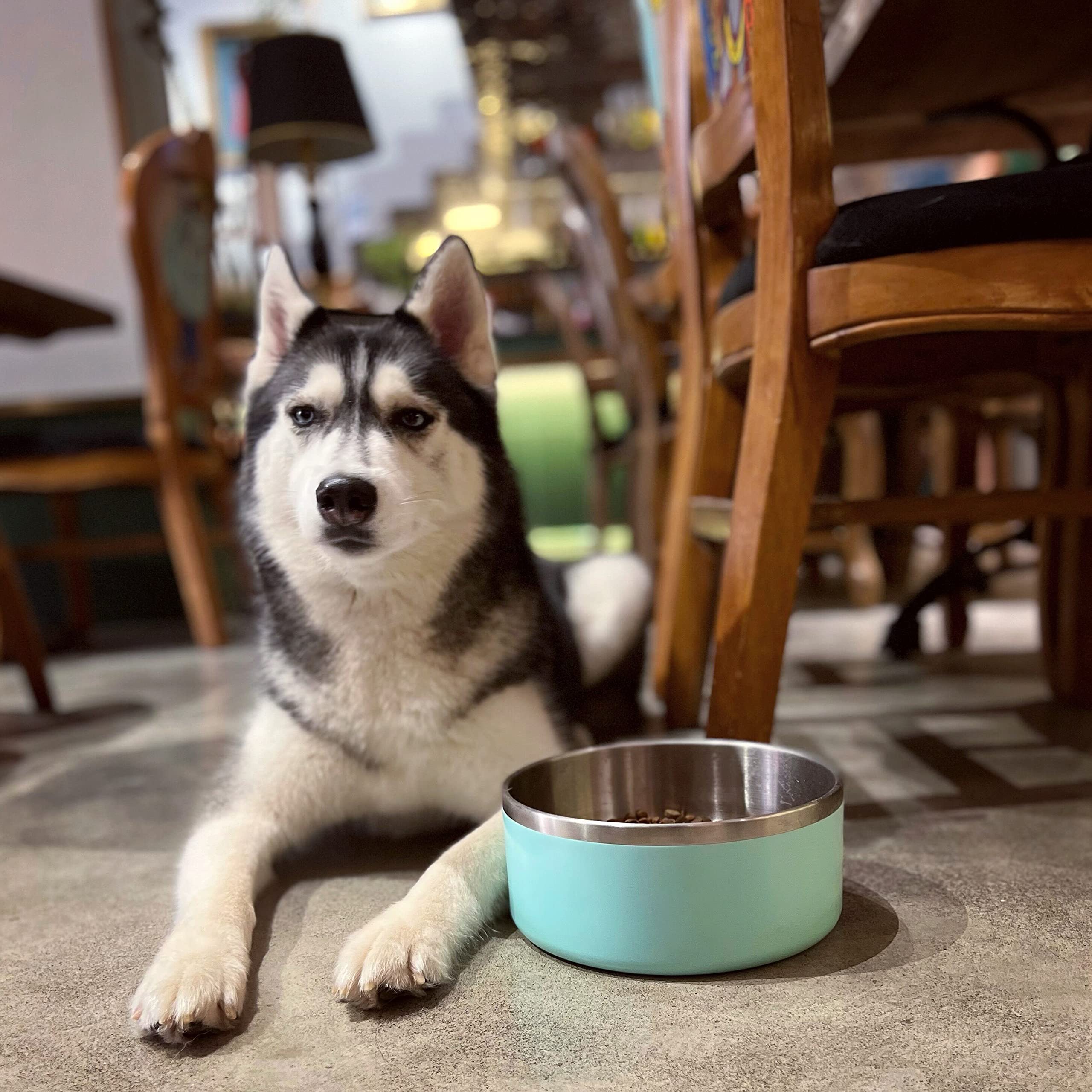 IKITCHEN Dog Bowl for Food and Water, 64 Oz Stainless Steel Pet Feeding Bowl, Durable Non-Skid Double Wall Insulated Heavy Duty