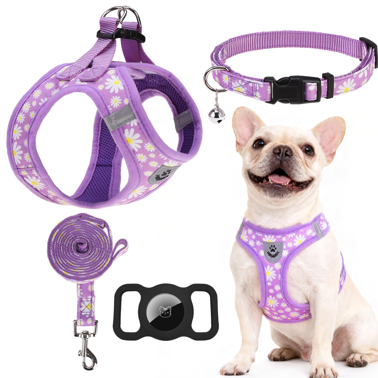 EXPAWLORER Small Dog Harness and Leash Set - Cute Spring Puppy Harness Leash Dog Collar with AirTag Holder Silicone Case, Soft P
