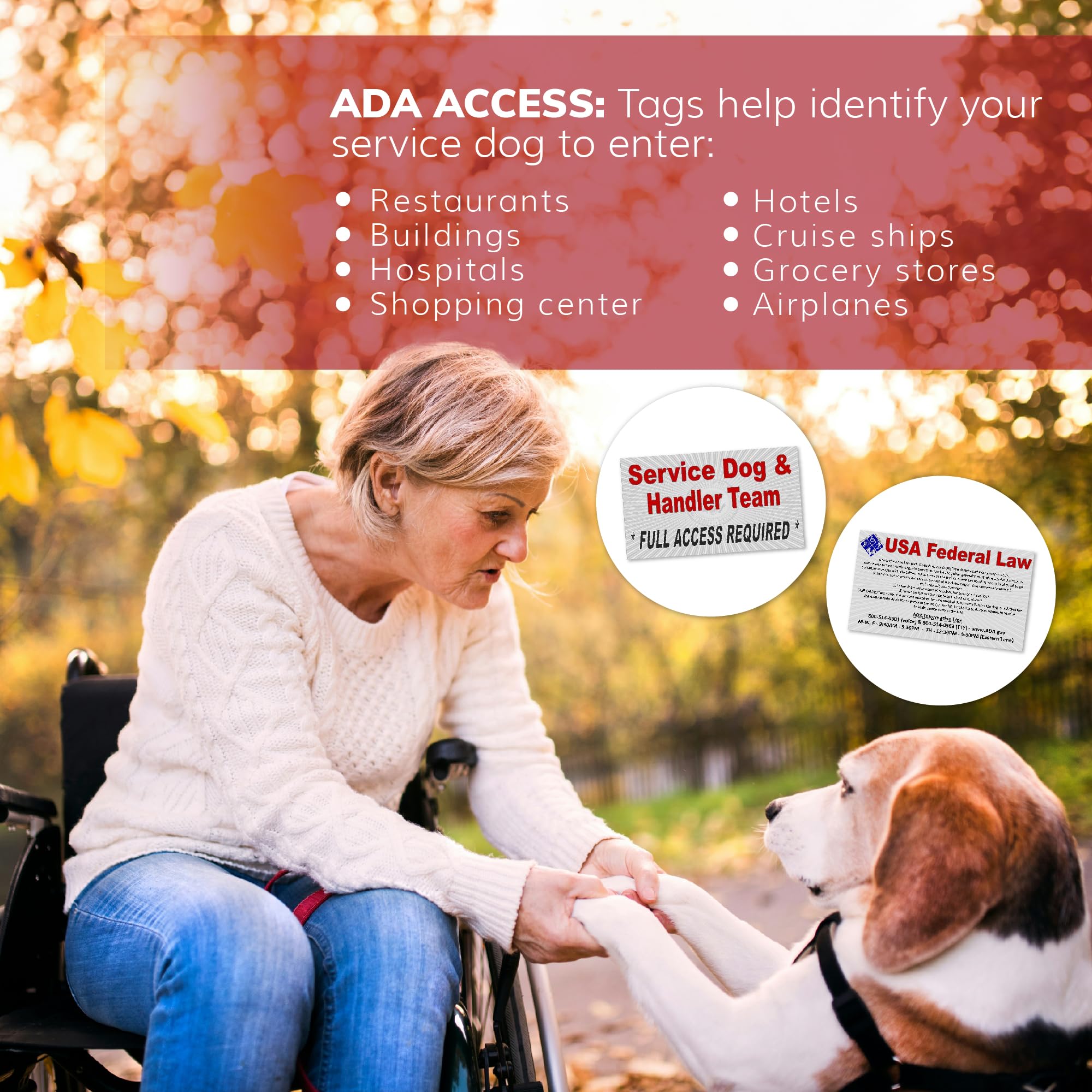 Activedogs Service Dog Vest Harness 2Xl Dogs + Clip-On Bridge Sturdy Handle + Id Card Carrier + Ada Cards + Reflective Service Dog Patches - Extra Large Service Dog Harness Vest (Girth 32”-44”) Red
