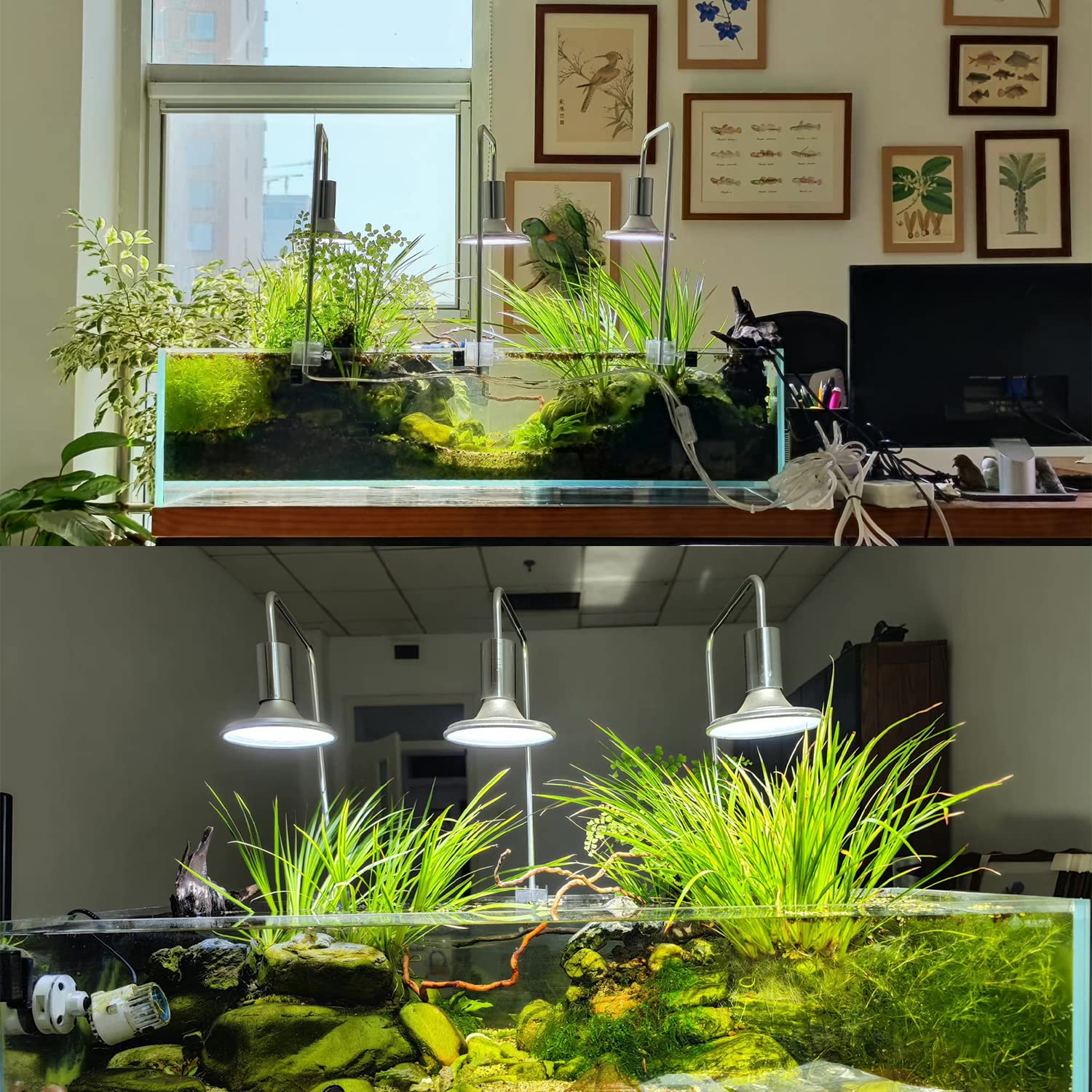 Horior Newest Arrival Aquarium Led Light Full Spectrum Fish Tank Light For Saltwater Freshwater Aquarium Lamp For Coral Reef