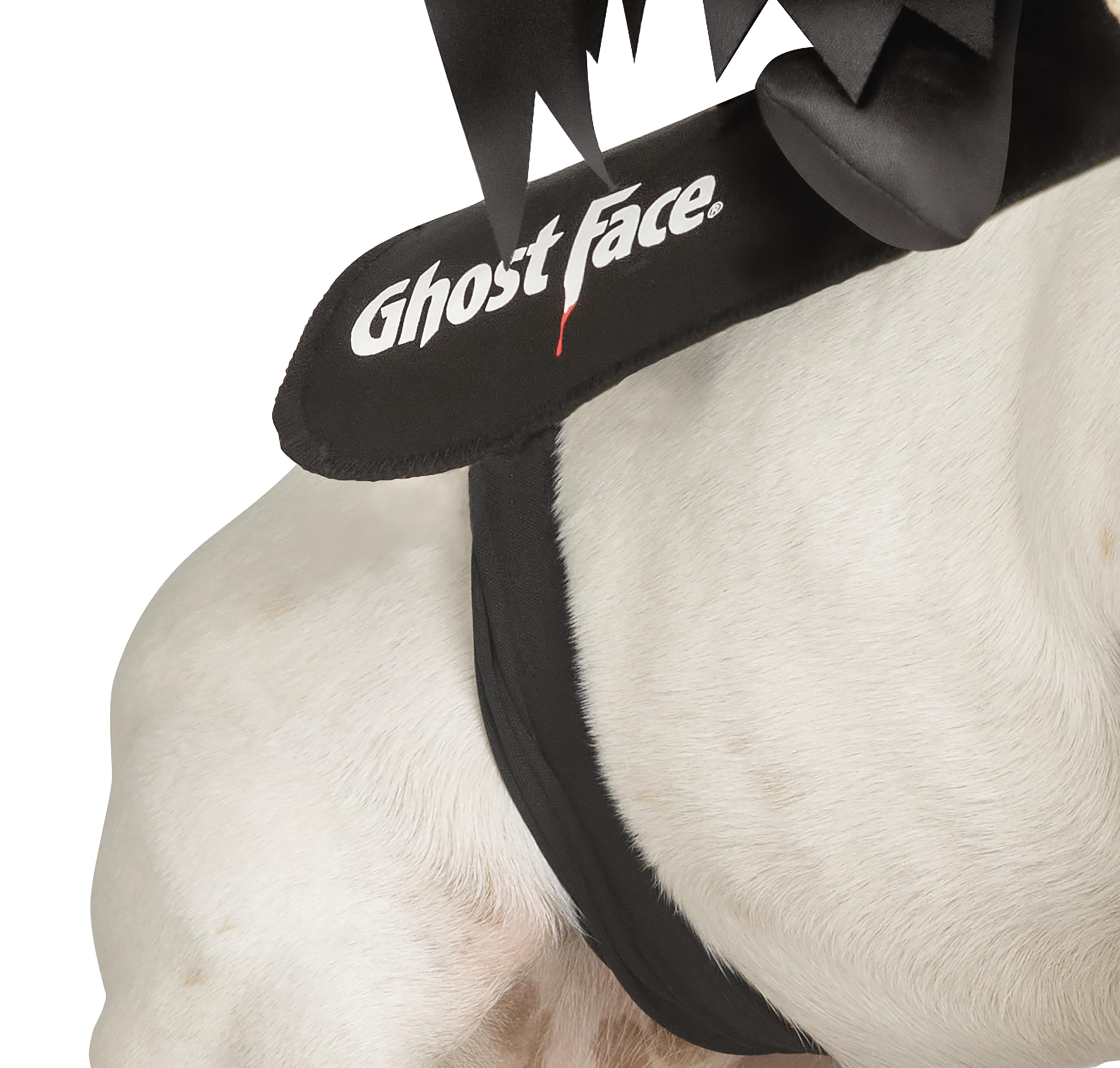 Ghost Face Rider Vest Pet Costume | S/M