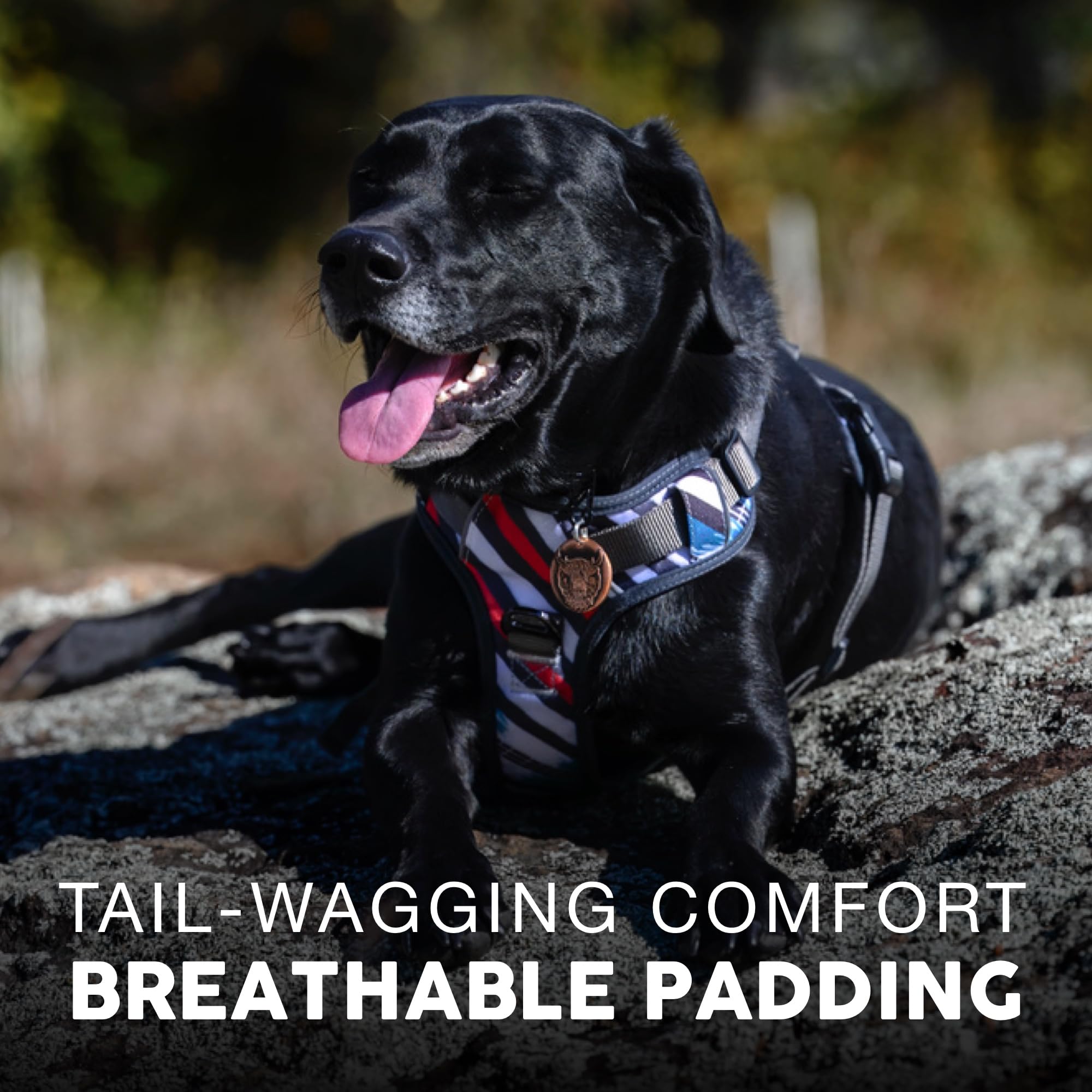 Embark Adventure Dog Harness, Reflective Trim No Pull Dog Harness Medium Sized Dogs - Military Grade Nylon, Front Clip With Gel