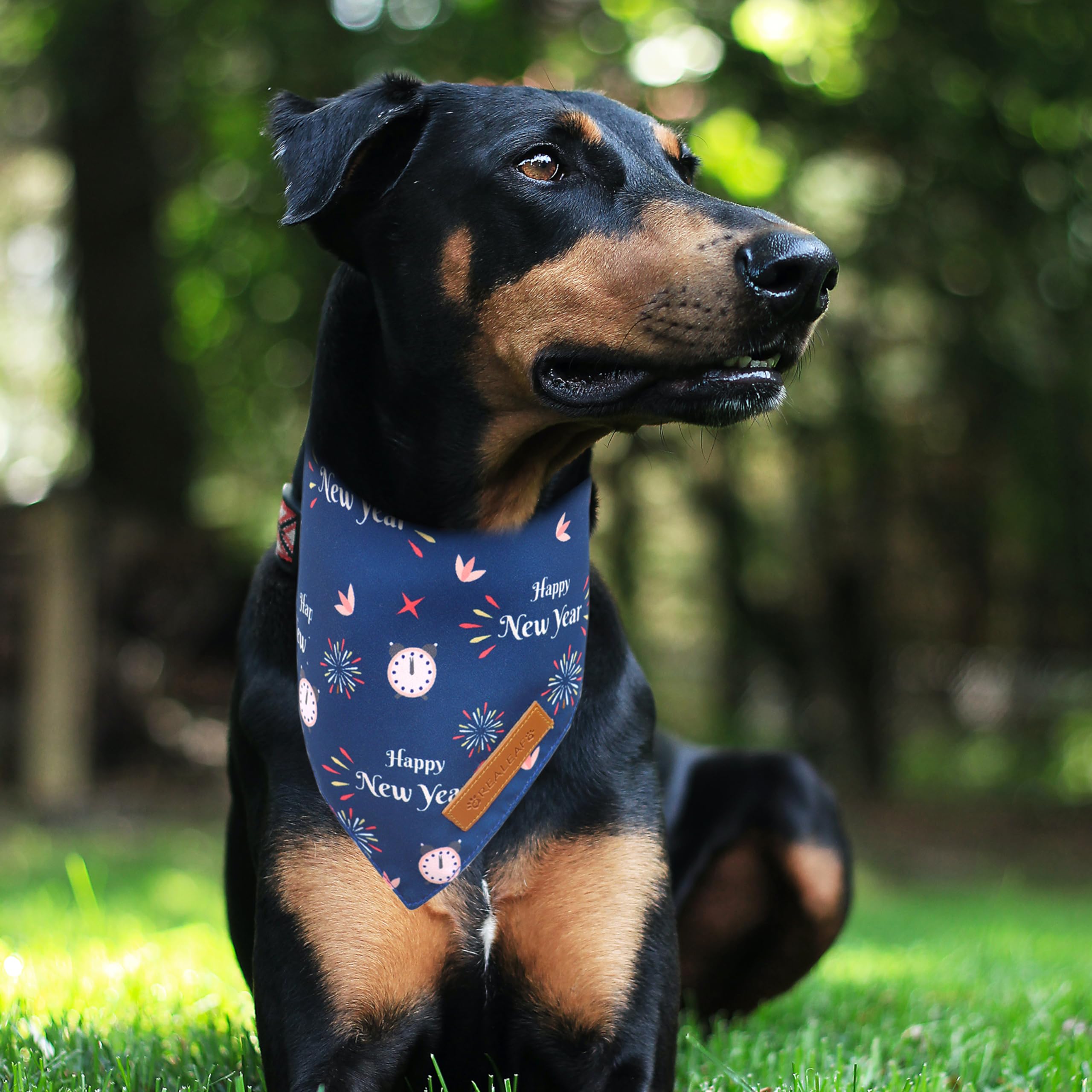 Realeaf Happy New Year Dog Bandanas 2 Pack, Reversible Holiday Pet Scarf For Boy And Girl, Premium Durable Fabric, Bandana For Small Medium Large And Extra Large Dogs (X-Large)