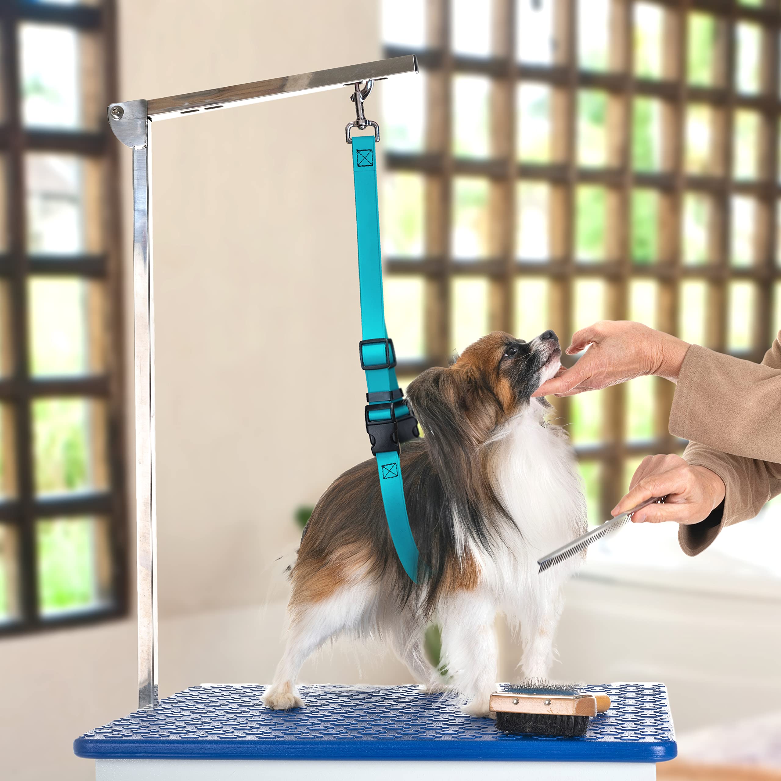 Jelly Pet Dog Belly Loop Restraint For Pet Grooming Table And Tub - Easy To Clean And Waterproof (Teal) | Made In The Usa