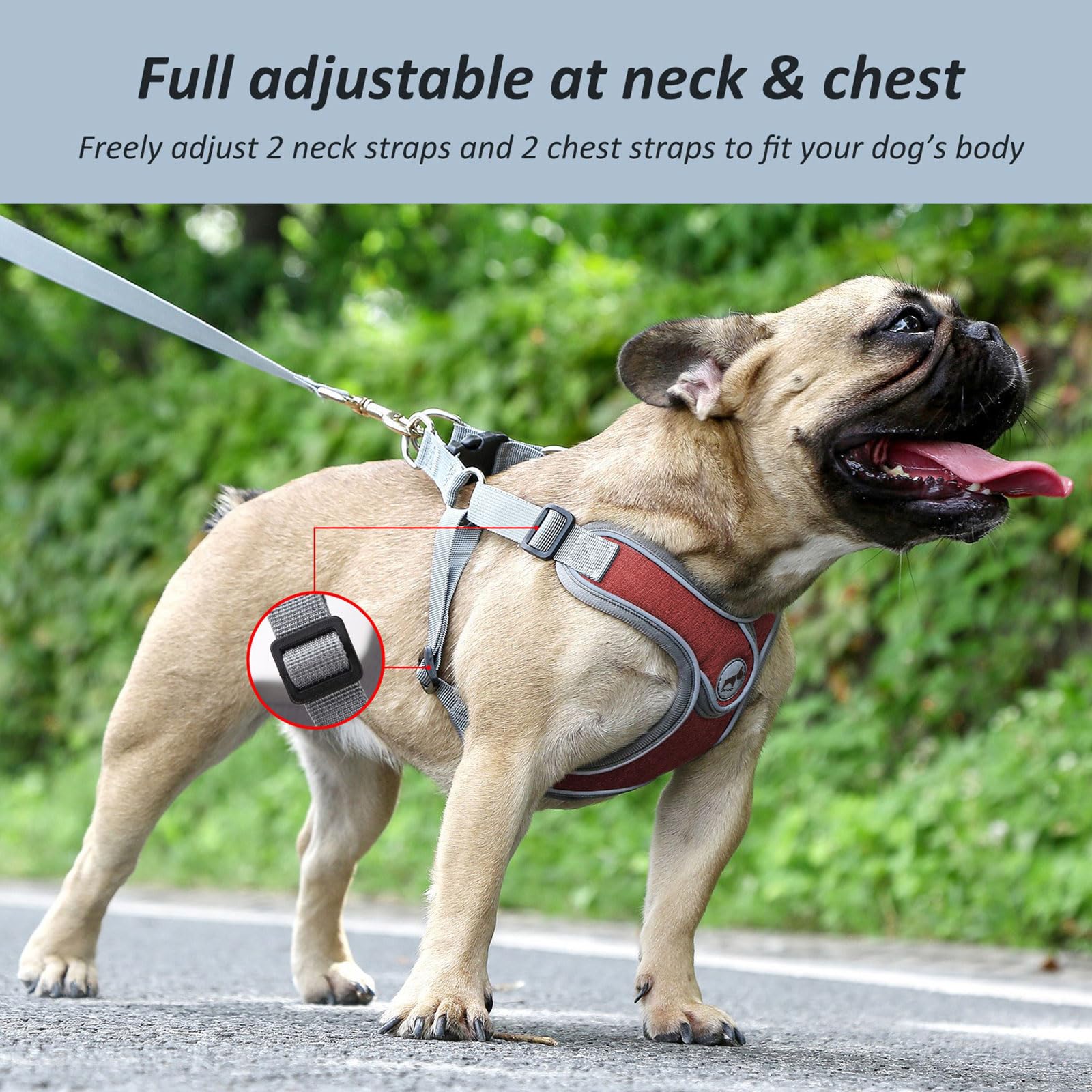 Dog Harness with Leash, Soft Adjustable Step in Reflective Strips Collars Harness Vest for Small Medium Dogs Training and Runnin