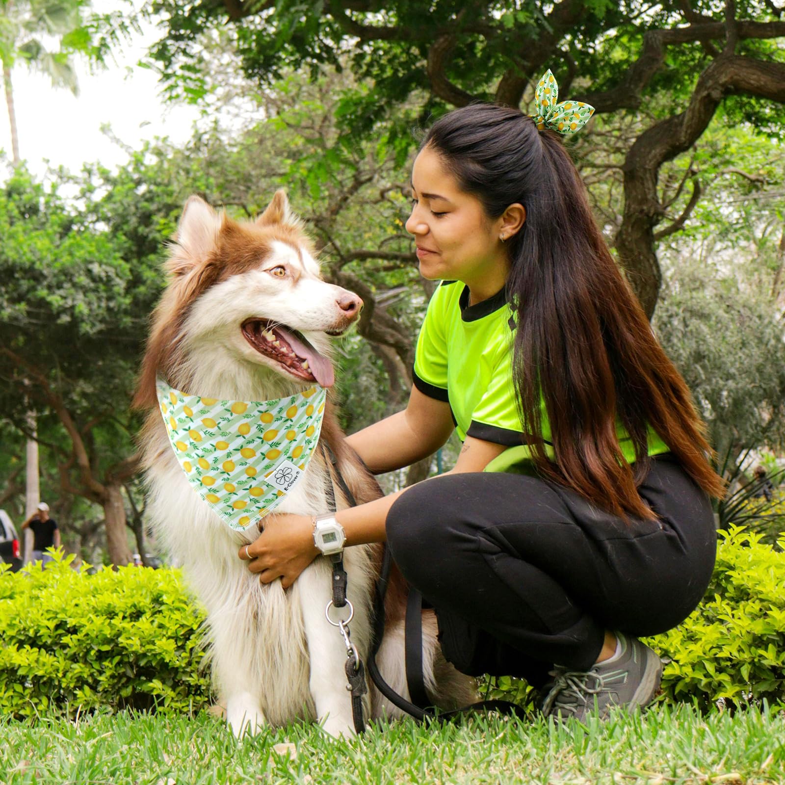 E-Clover Summer Lemon Dog Bandanas & Matching Scrunchie Set Green Stripe Dog Scarf Bibs Pet Bandana With Bow Tie For Small Dogs
