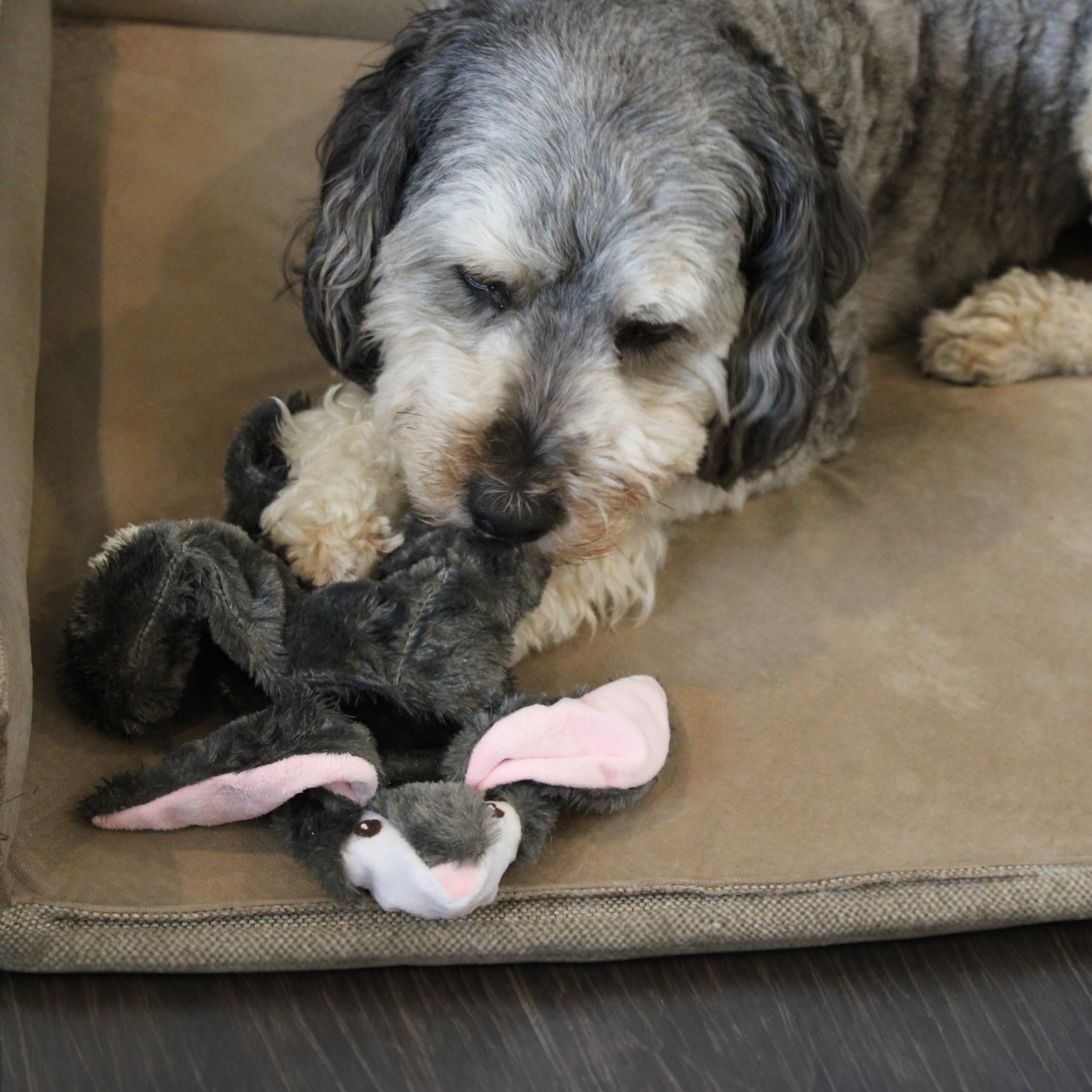 Skinn20' Rabbit Dog Toy