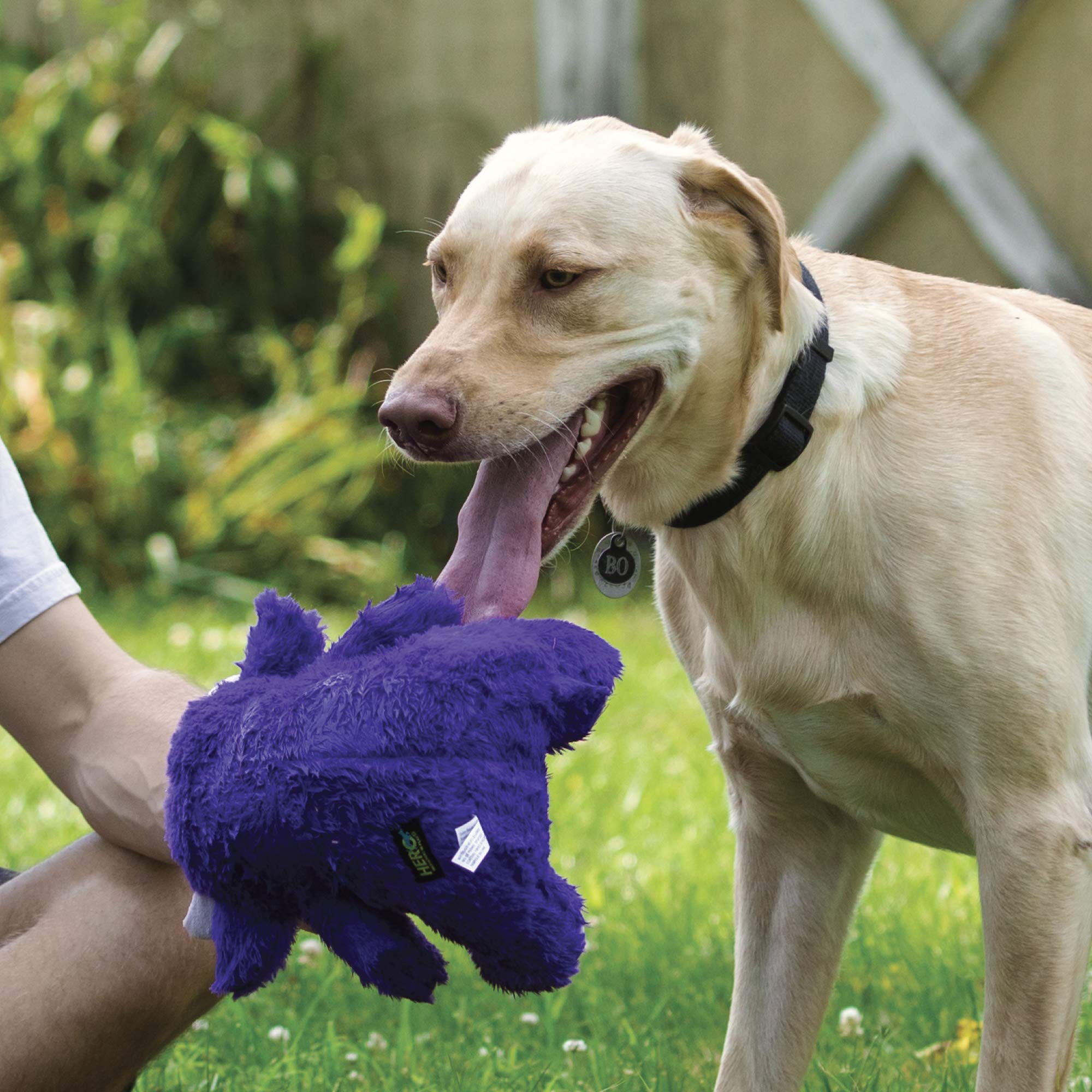 Hero  Chuckles Purple Cow Plush Dog Toy  Dog Squeaky Toys  Durable Stuffed Animal With 3 In 1 Squeaker