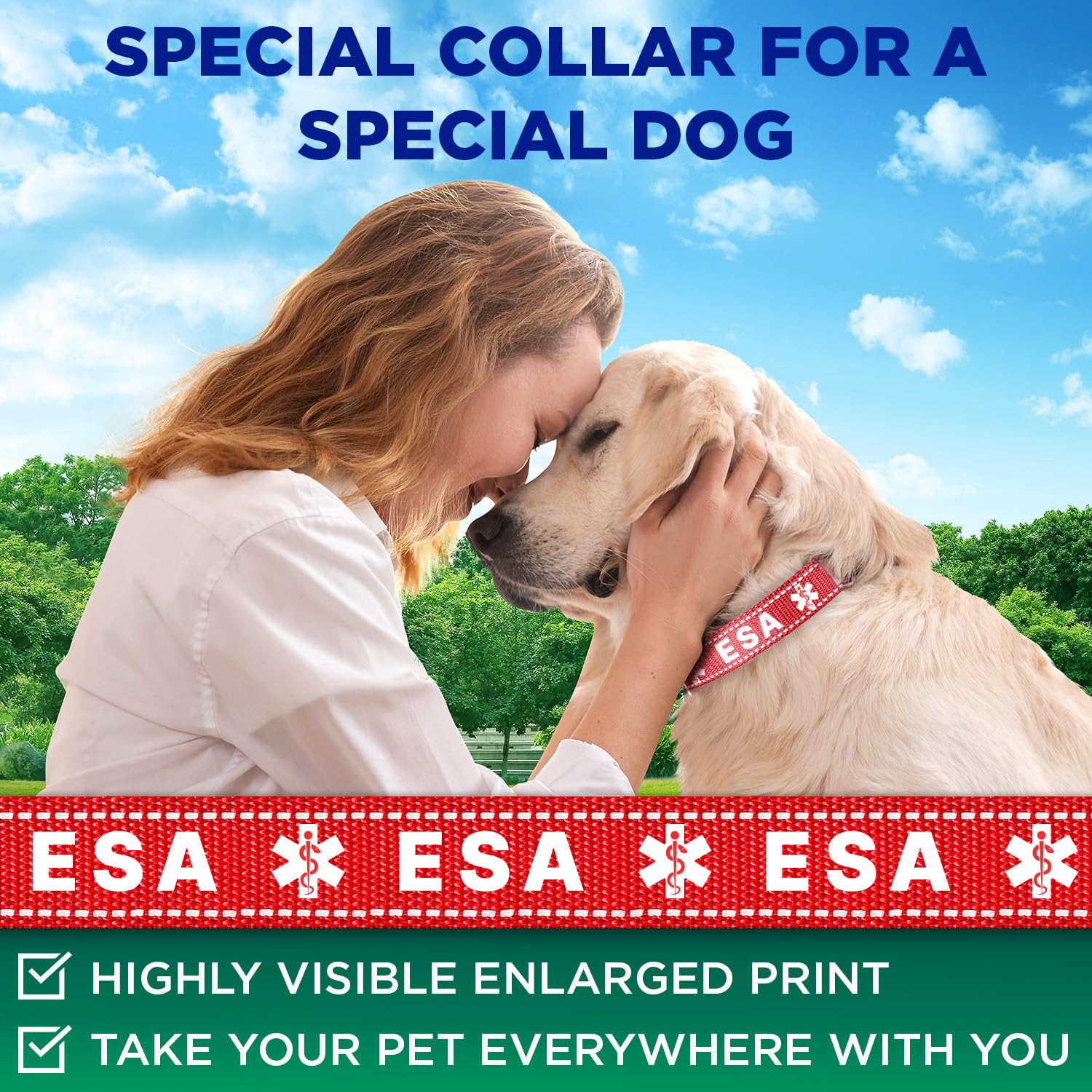 Teceum Reflective Pet Collar - Red - Esa - Xl - Extra Soft Padding - Basic Nylon Dog Collar - Quick Release Buckle - Fits Small,