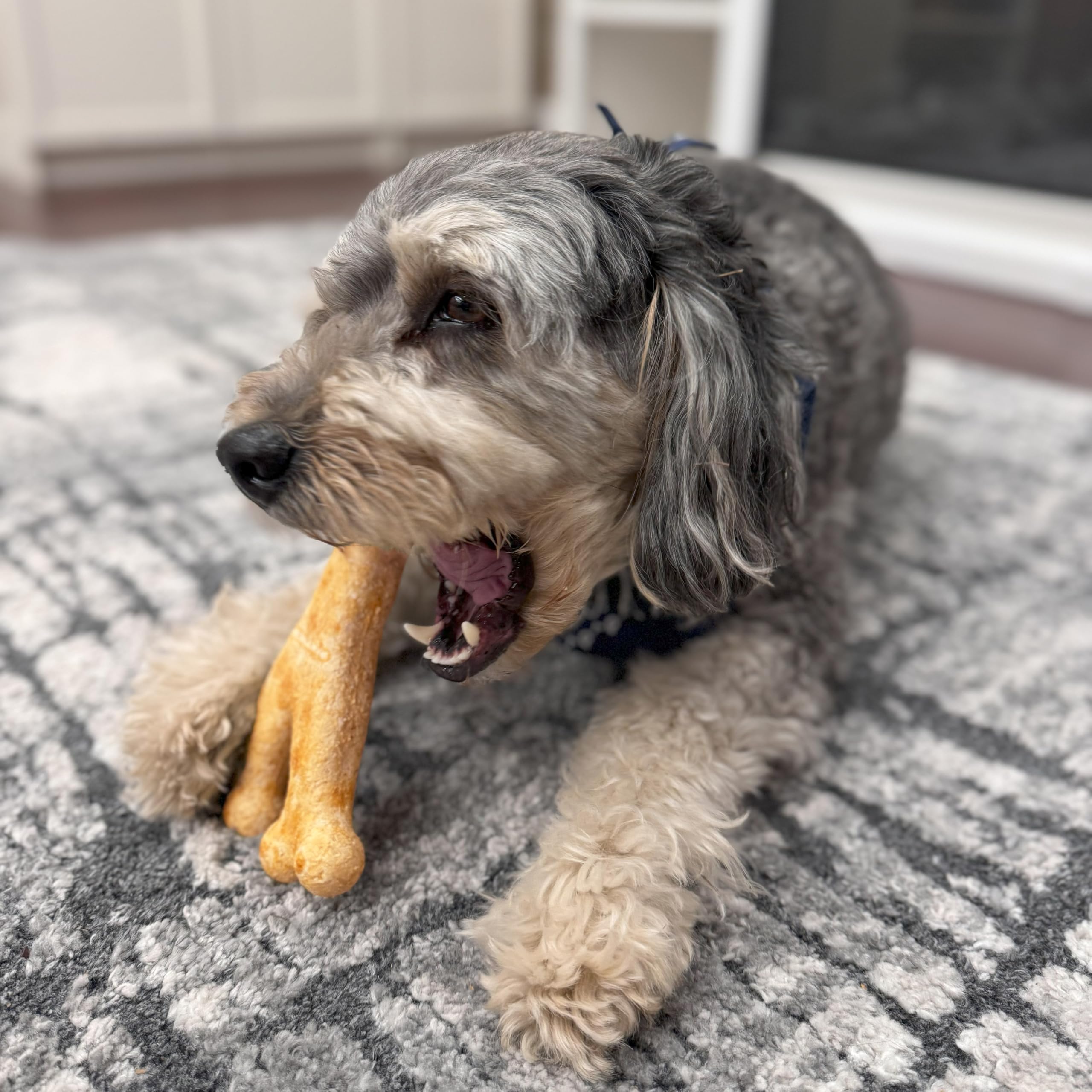 Fieldcrest Farms Nothin to Hide Collagen-Based Dog Chews, Wishbone, Beef Flavor, Ultra-Premium, for Dogs Over 50lbs, Easily Dig