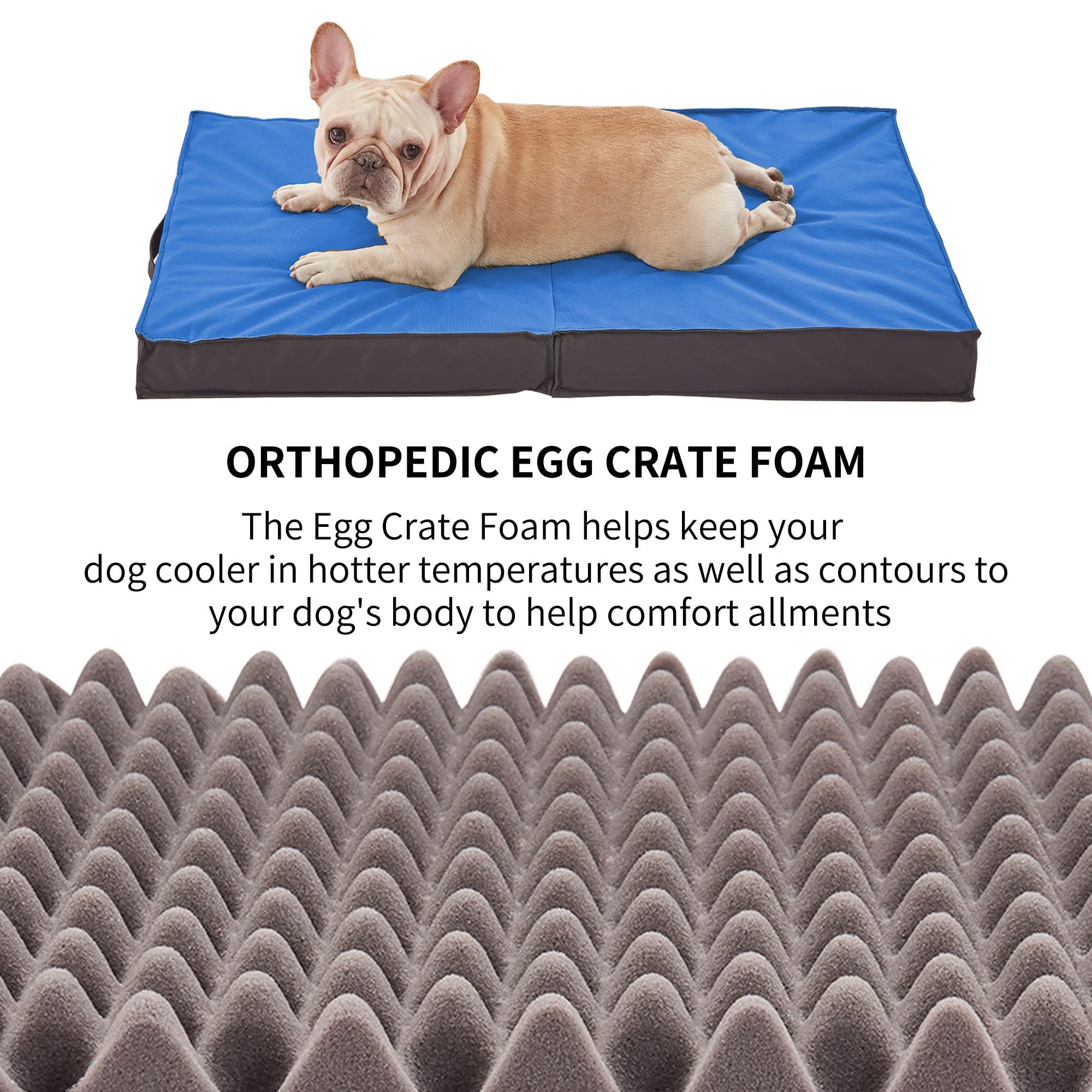 Petabby Outdoor Dog Bed - Waterproof, Portable, Foldable, Orthopedic For Large Dogs - 41'' All Weather Use