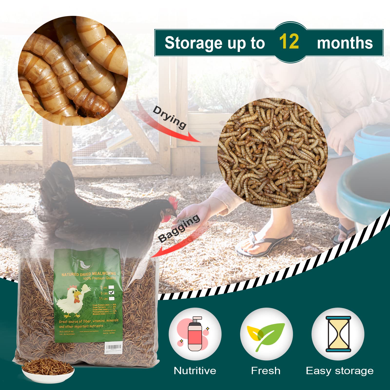 Euchirus Non-GMO Dried Mealworms - High-Protein Bird & Poultry Treats, 2LB Bulk, Ideal for Hens, Ducks, & More
