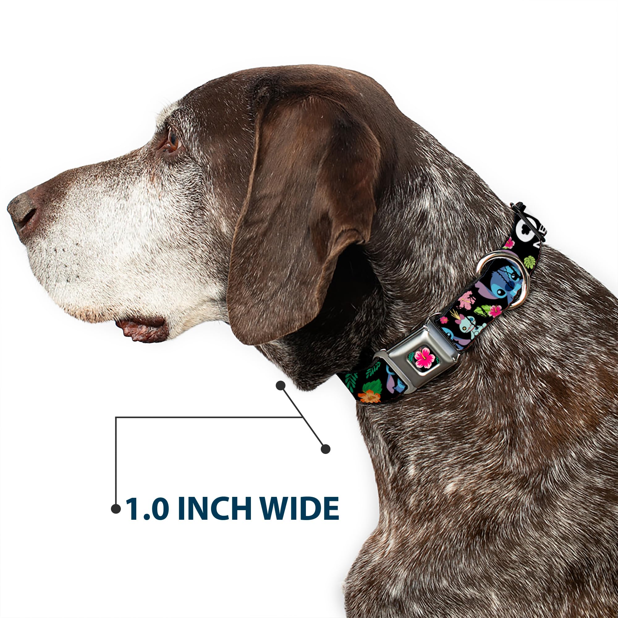 Buckle-Down Lilo & Stitch -Ohana Means Family Dog Collar, Seat Belt Buckle, Black Multicolor
