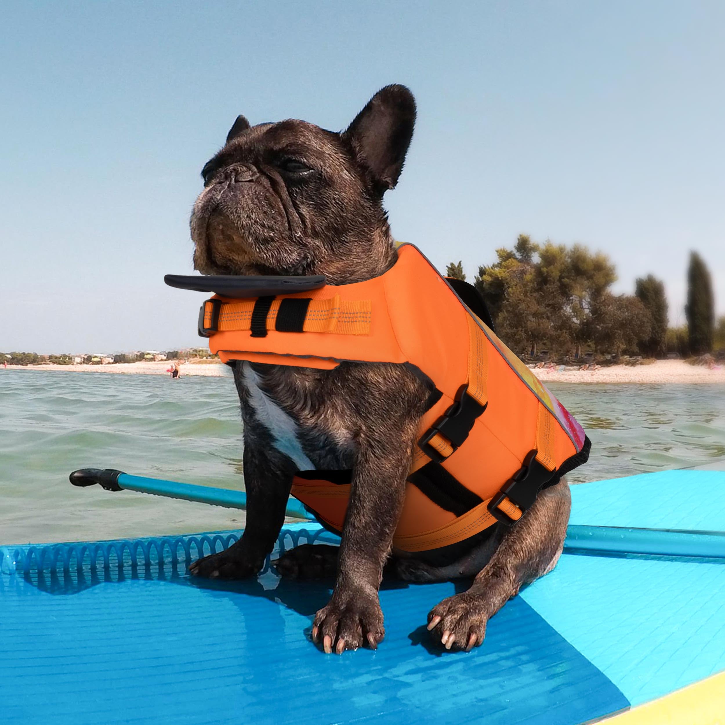 Cyeollo Life Vests For Boating - Large Dog Life Jacket With High Buoyancy, Pet Safety Float Lifesaver, Adjustable Dog Swimming V