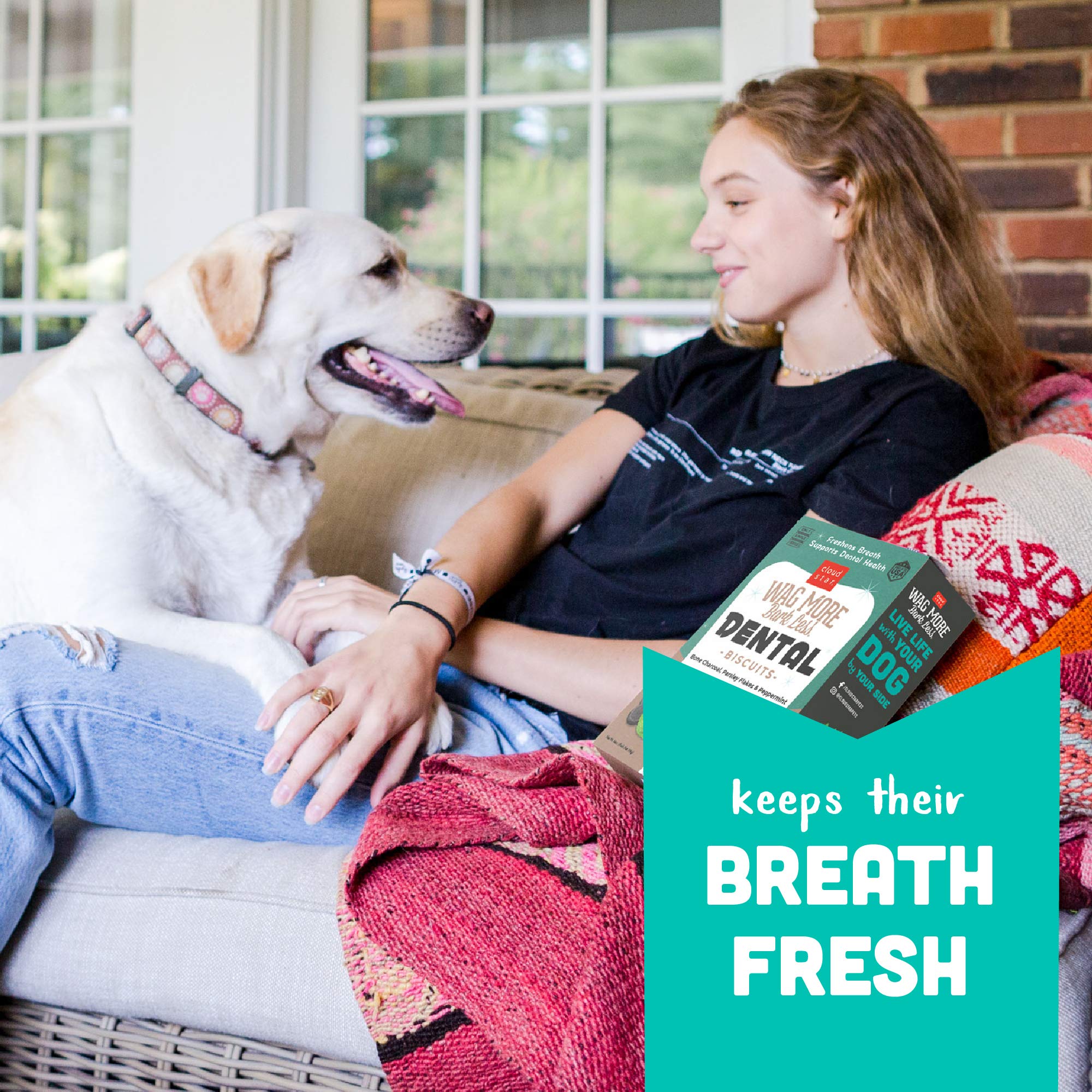Cloud Star Wag More Bark Less Crunchy Dental Dog Treats, Chicken, Bone Charcoal, Parsley & Mint, 14 oz. Box