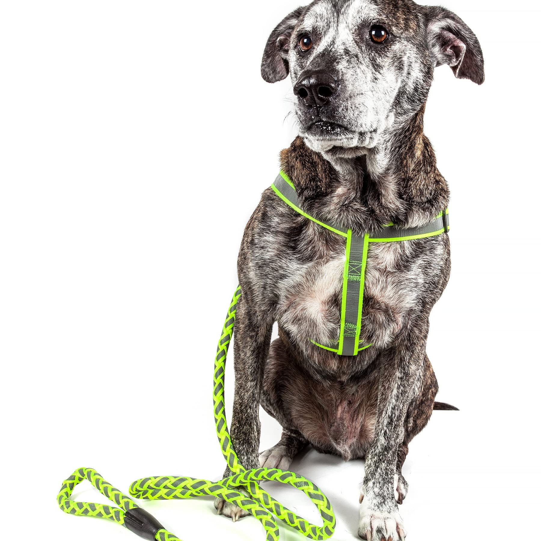 Pet Life  Durable 3M Reflective 2In1 Extra Long Pet Leash And Adjustable Dog Harness  Features Thickgrade Interlocked Reflec