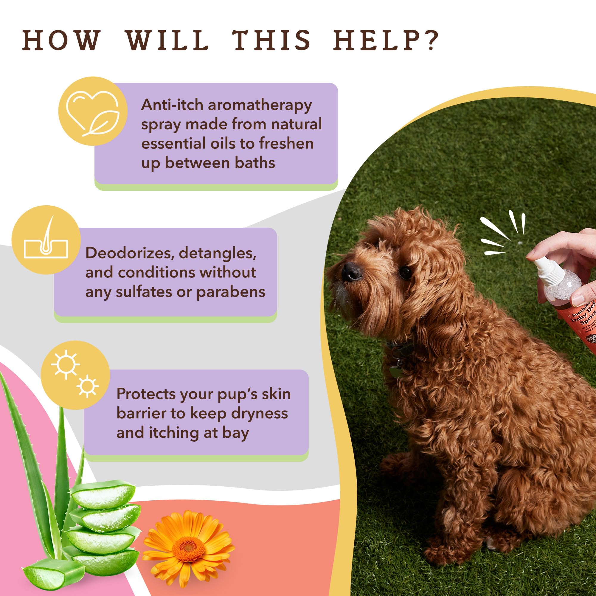 Natural Dog Company Dog Spray Deodorizer Perfume - Itchy Dog Spritz: Ideal Paired With Itchy Dog Shampoo, Long Lasting Dog Perfume, 8 Oz Bottle
