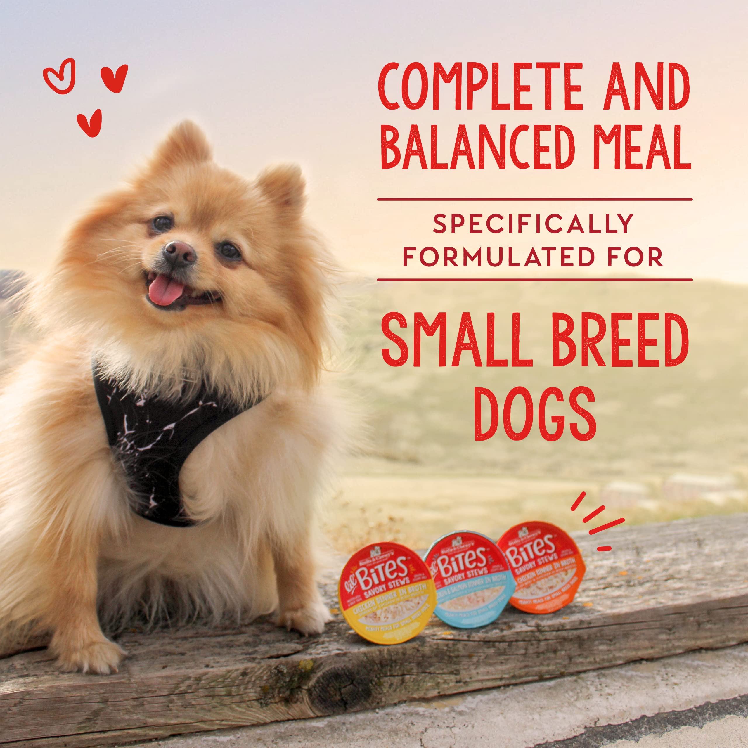 Stella & Chewy s Lil Bites Savory Stews for Small Breeds Beef & Chicken Dinner in Broth, 2.7 oz. Cups (Pack of 12)