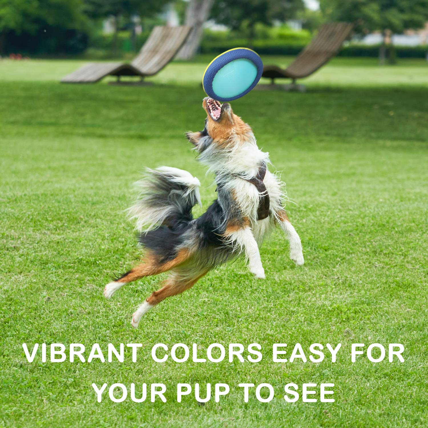 Funsparks Easy Disk Dog Flying Disc - Interactive Dog Fetch Toy - Durable And Easy On The Teeth - Simple To Toss – Lightweight Puppy Toy - Floats On Water