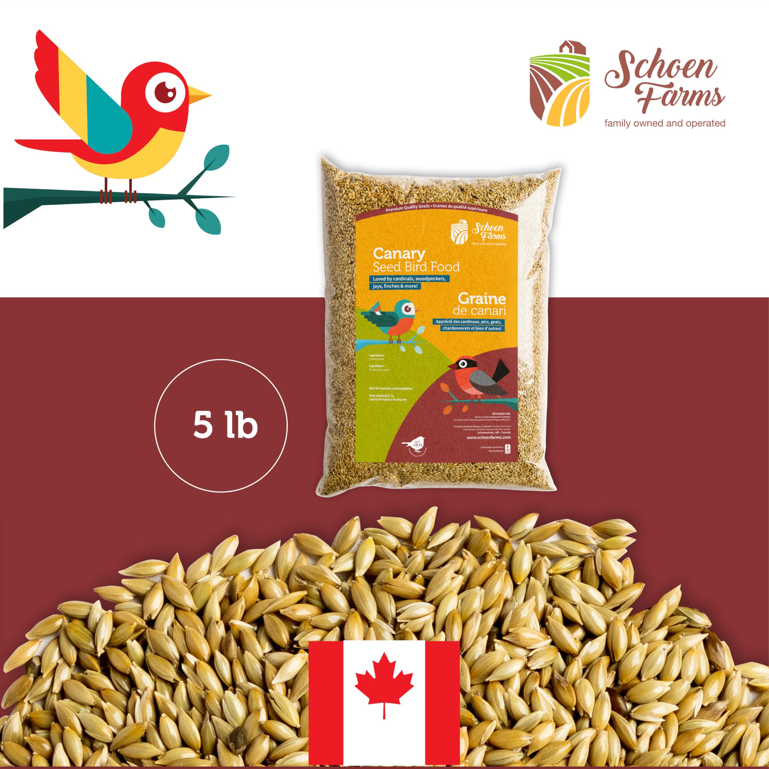 Schoen Farms Premium Canary Seed for Birds (5 LBS)
