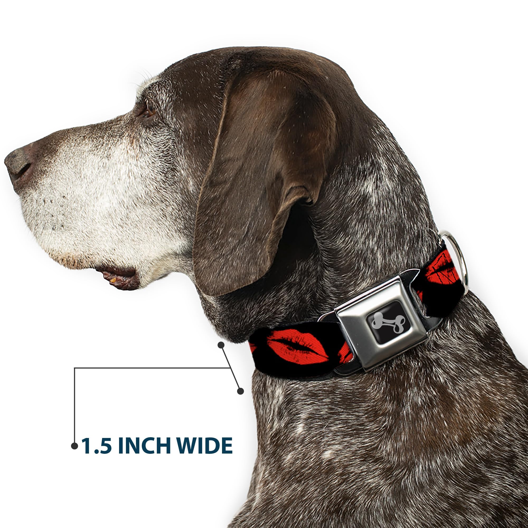 Buckle-Down Seatbelt Buckle Dog Collar - Kisses - 1.5 Wide - Fits 16-23 Neck - Medium