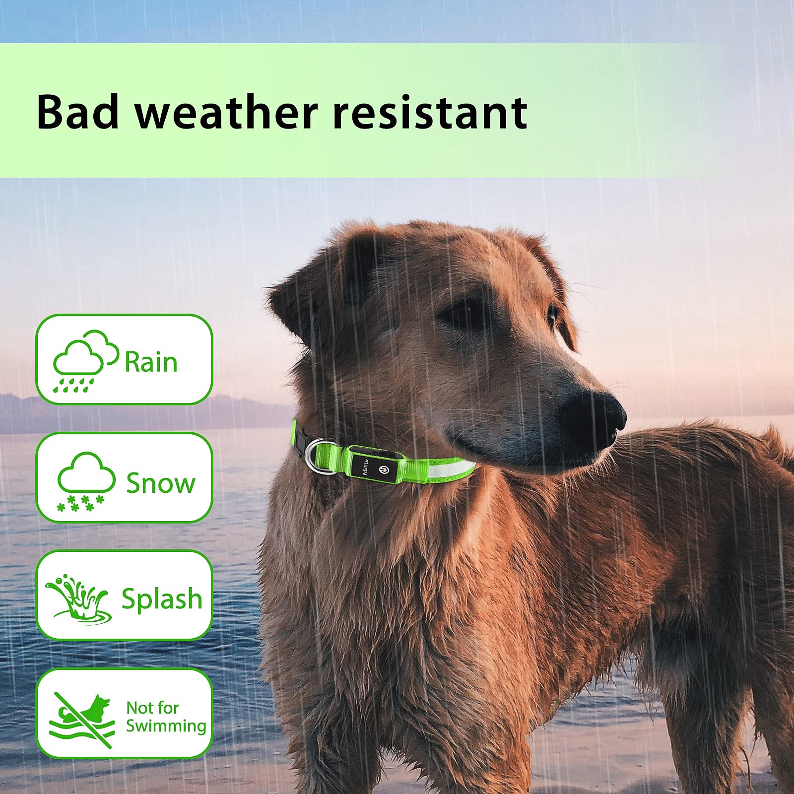 PcEoTllar LED Light Up Dog Collar - Rechargeable, Color Changing, Waterproof, L(19-23.6 inch), Green, Model DC5200RGB