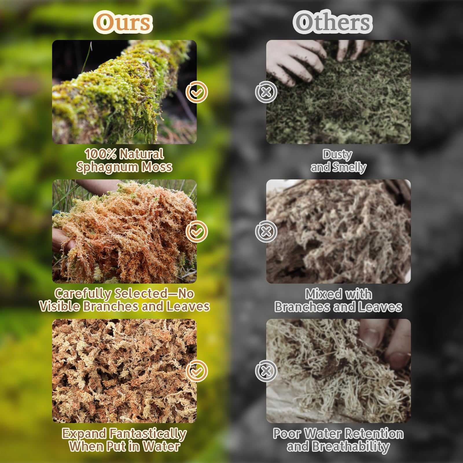 Riare 14Oz Premium Sphagnum Moss For Reptiles- 20Qt Natural Reptile Moss Dried, Forest Live Moss For Terrarium, Frogs Snake Peat