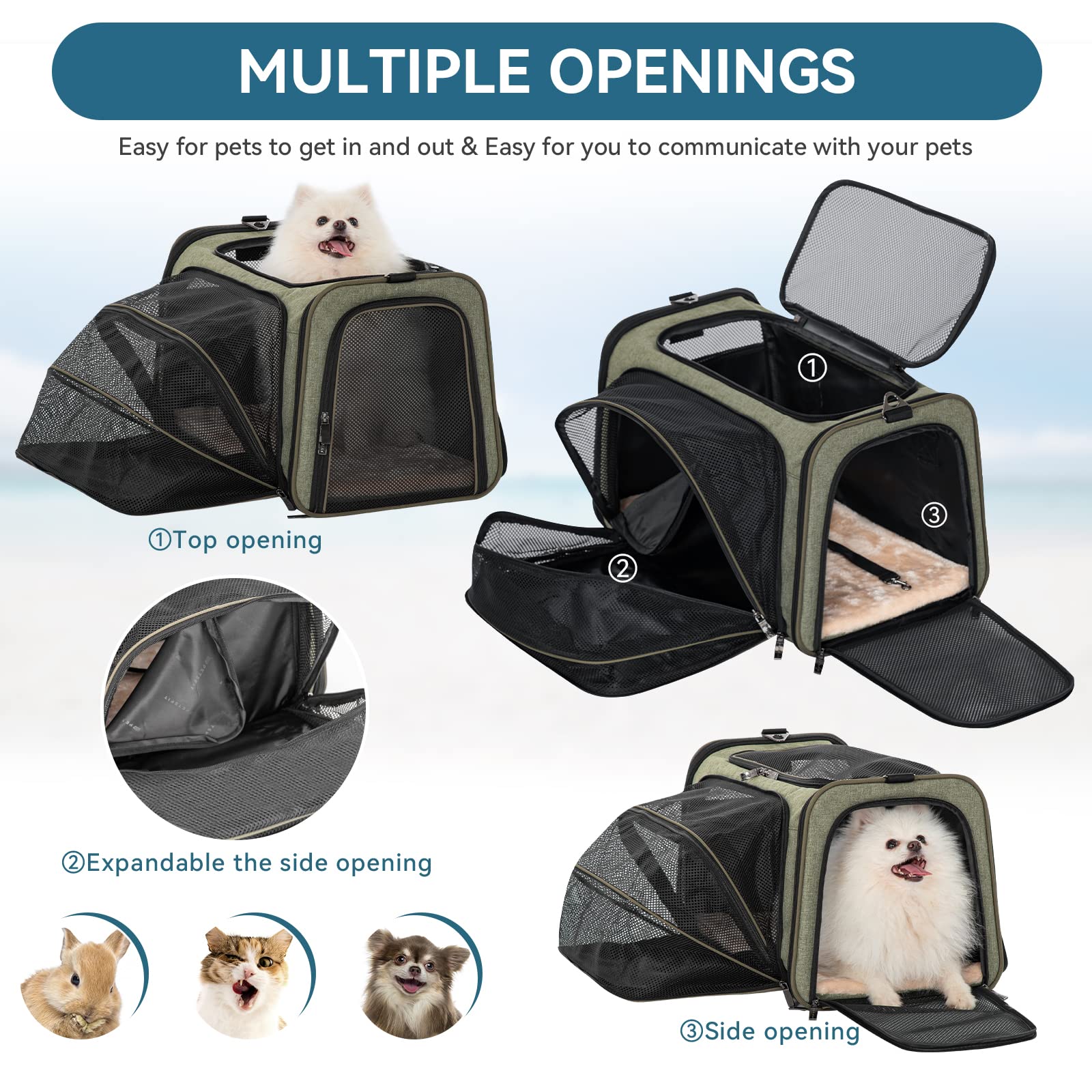 Petsfit Expandable Cat Carrier Dog Carrier, Soft-Sided Collapsible Portable Pet Carrier, 19X12X12, Green