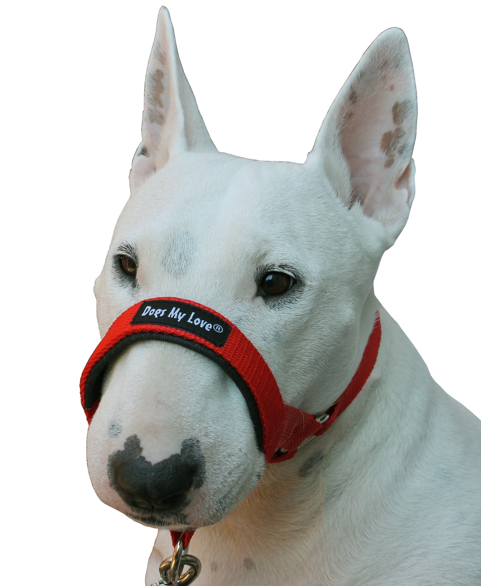 Dog Head Collar Halter Red 6 Sizes (S: 6.5'-8.25' Snout)