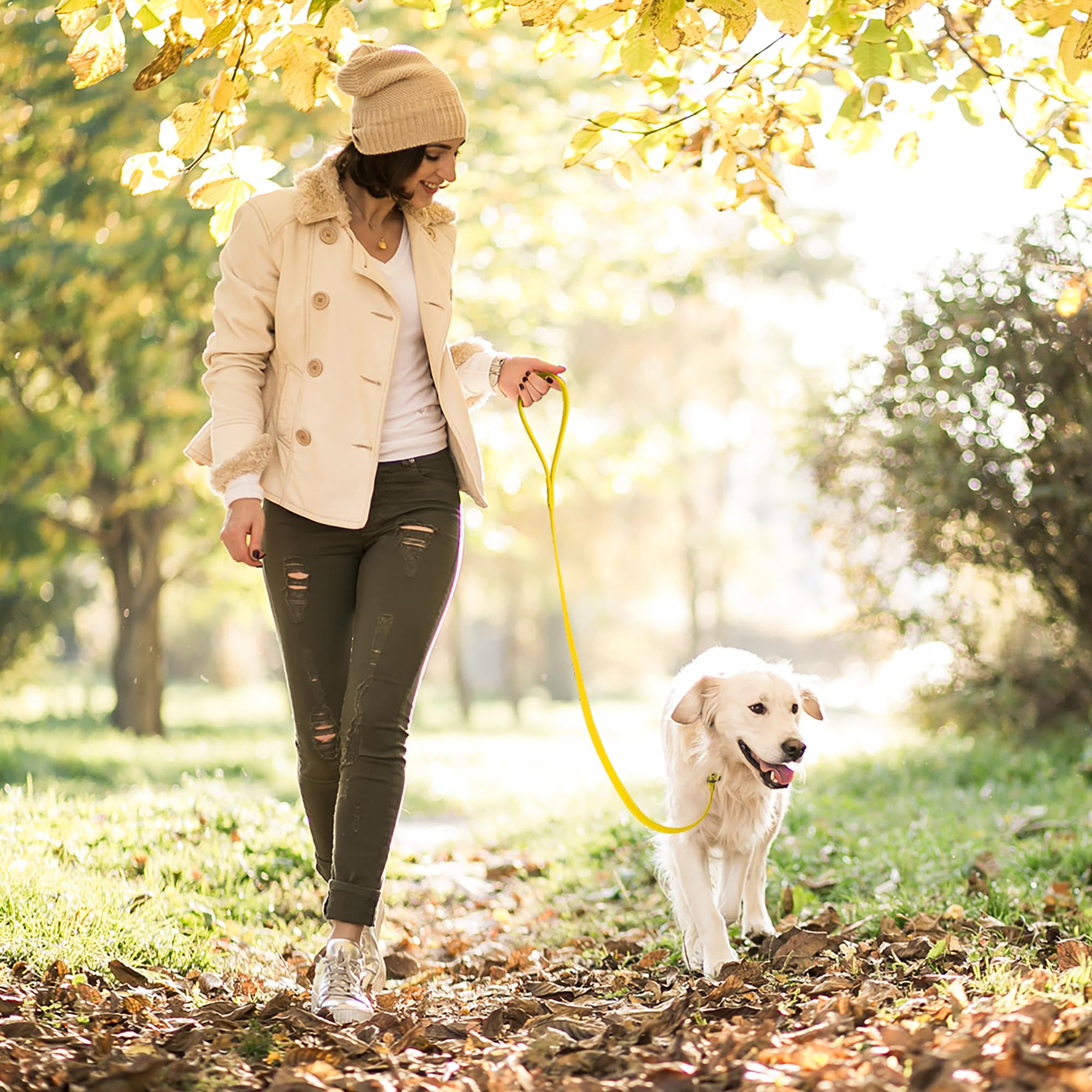 Dogline Biothane Slip Dog Leash - For Small, Medium And Large Dogs - Odor Free Slip Lead, Heavy Duty And Durable Material Kennel Lead - Lemon Yellow - 5Ft L X 5/8In W