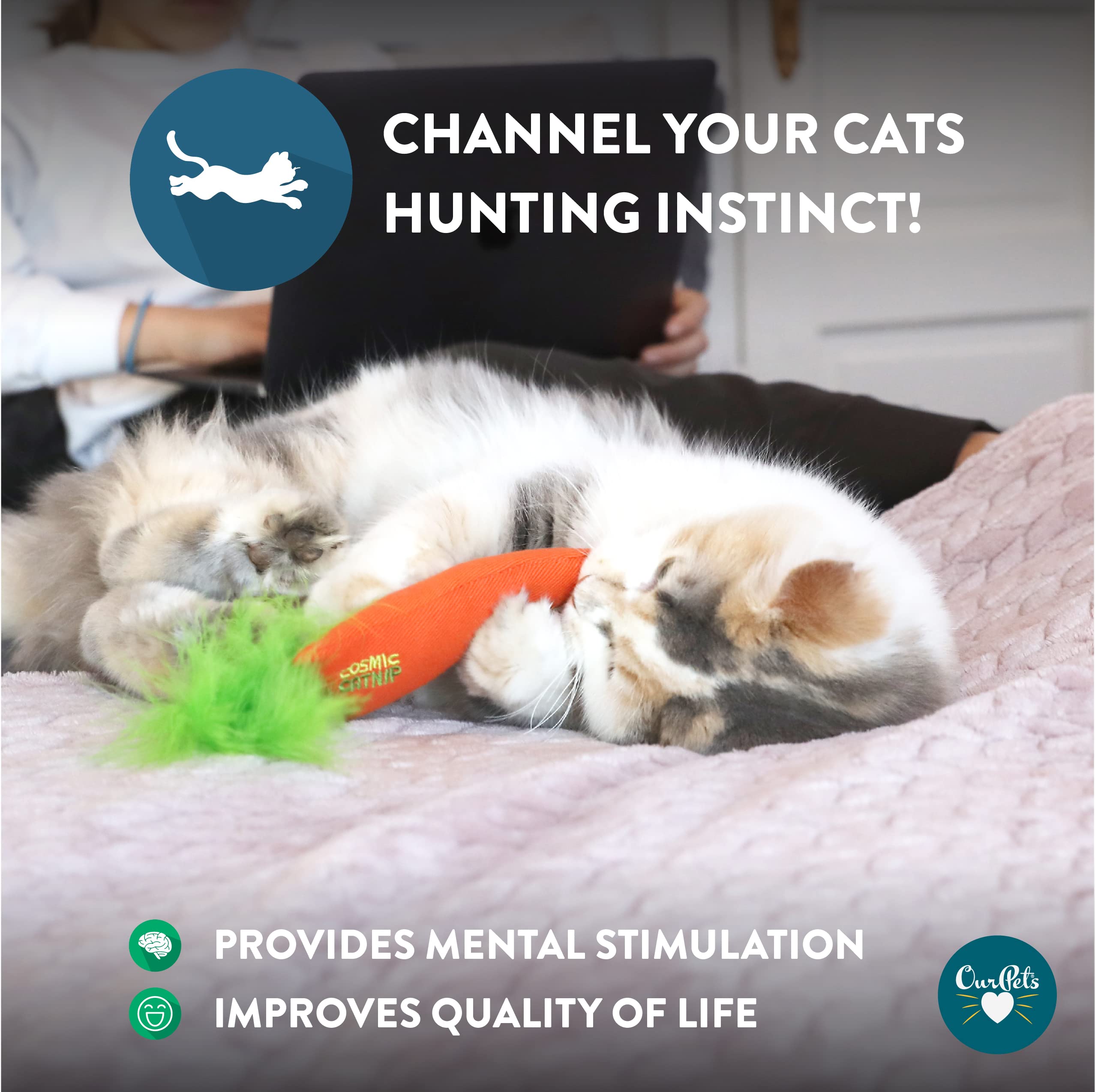 Ourpets Catnip Filled Cat Toy,24 Karat