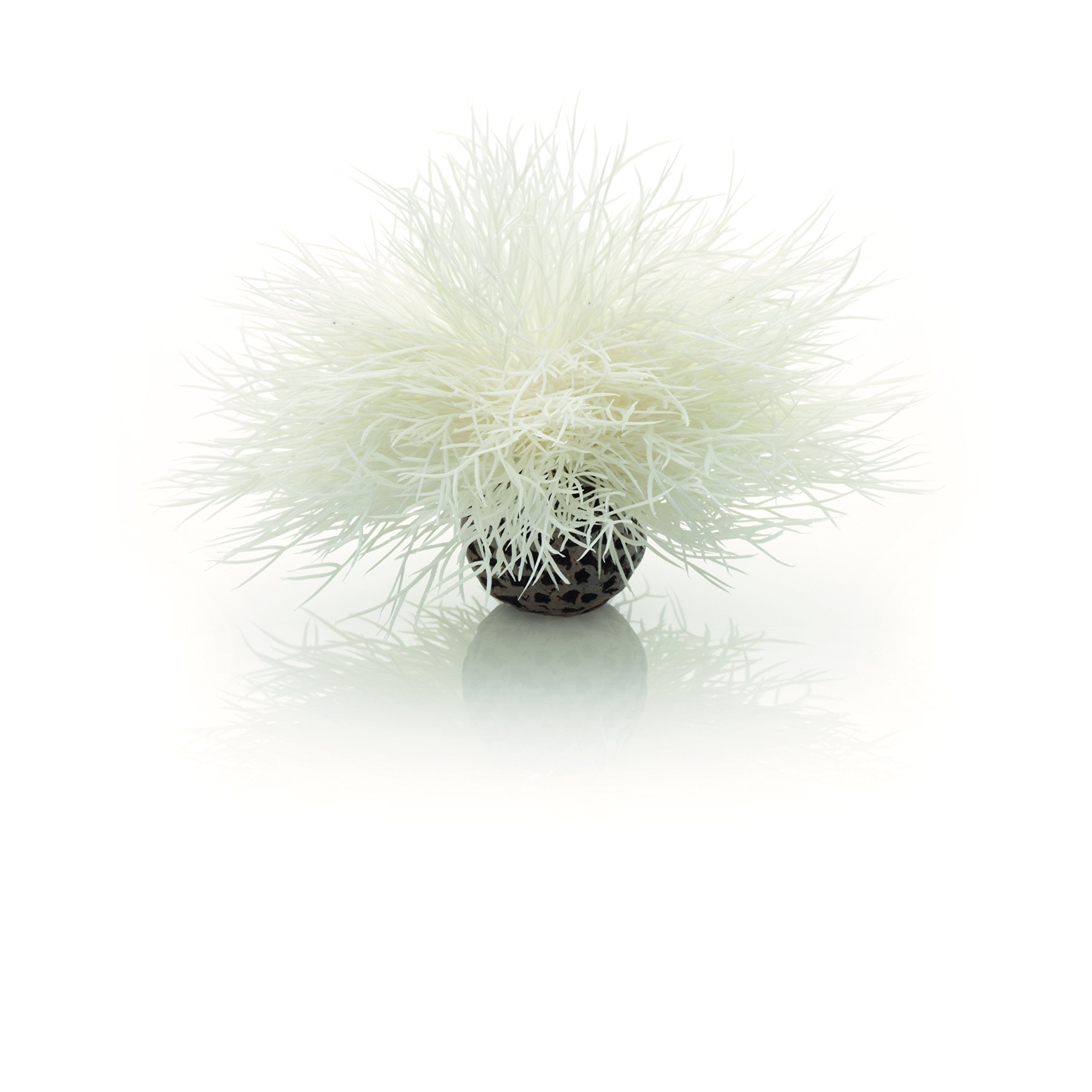 Biorb Sea Lily White