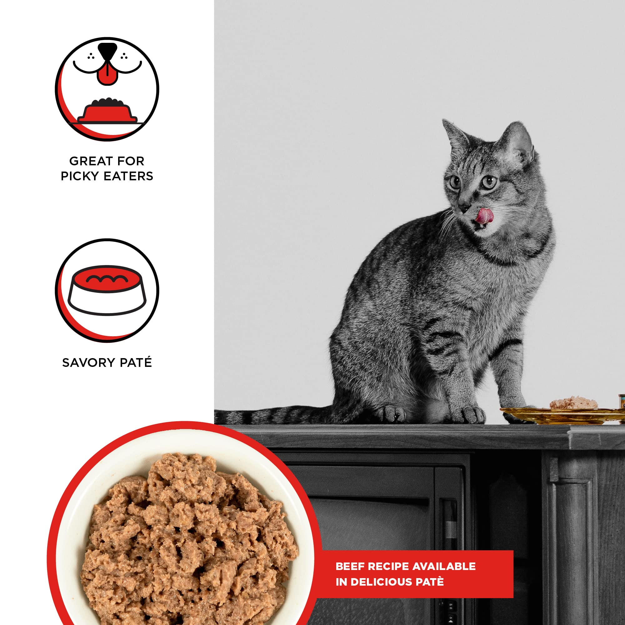 BIXBI Rawbble Beef Pate Recipe Cans - Grain Free, Protein Rich Wet Cat Food - (2.75 Ounce Cans, Case of 24)