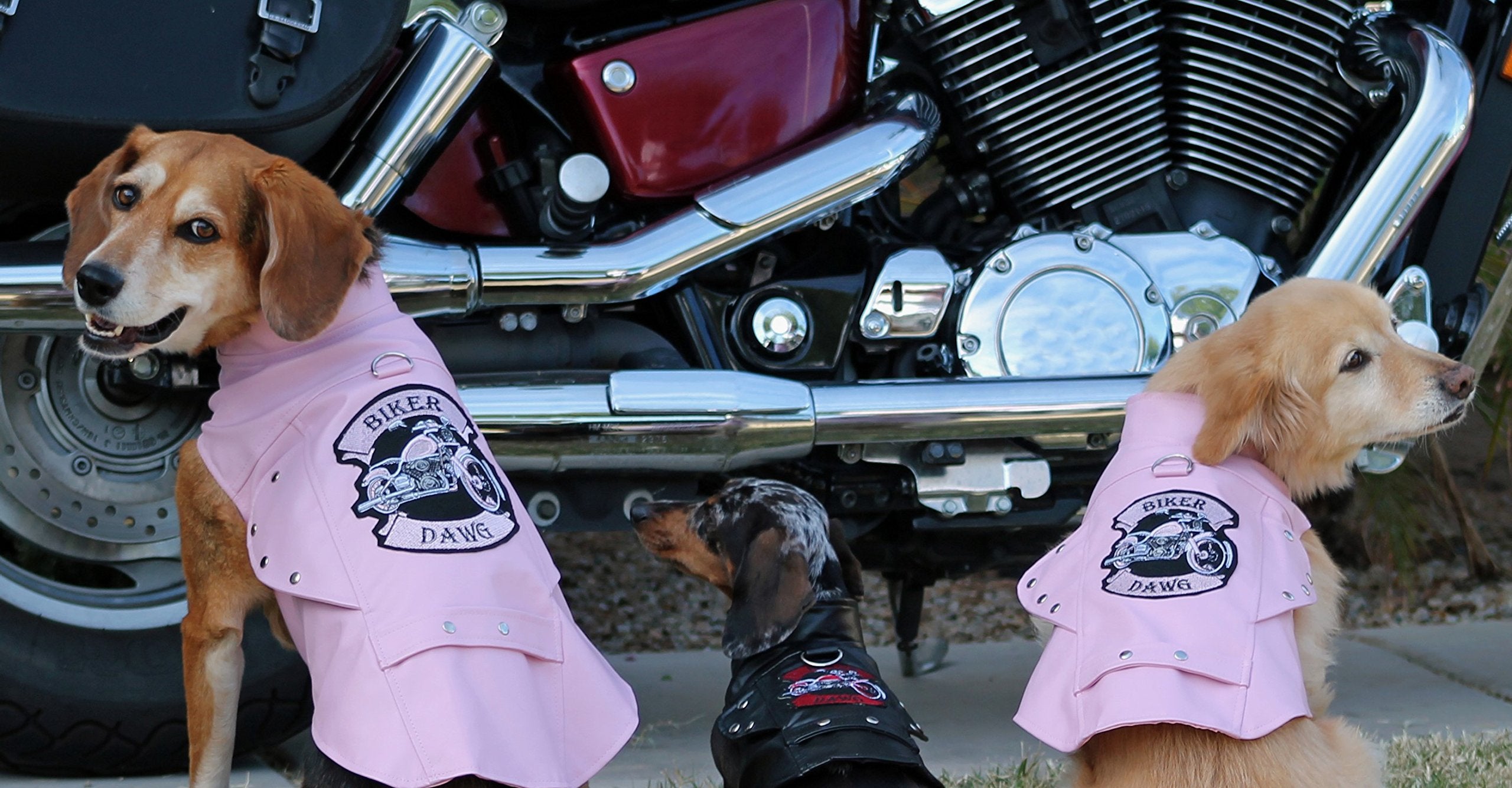 Doggie Design Born To Ride Motorcycle Harness Jacket - Pink