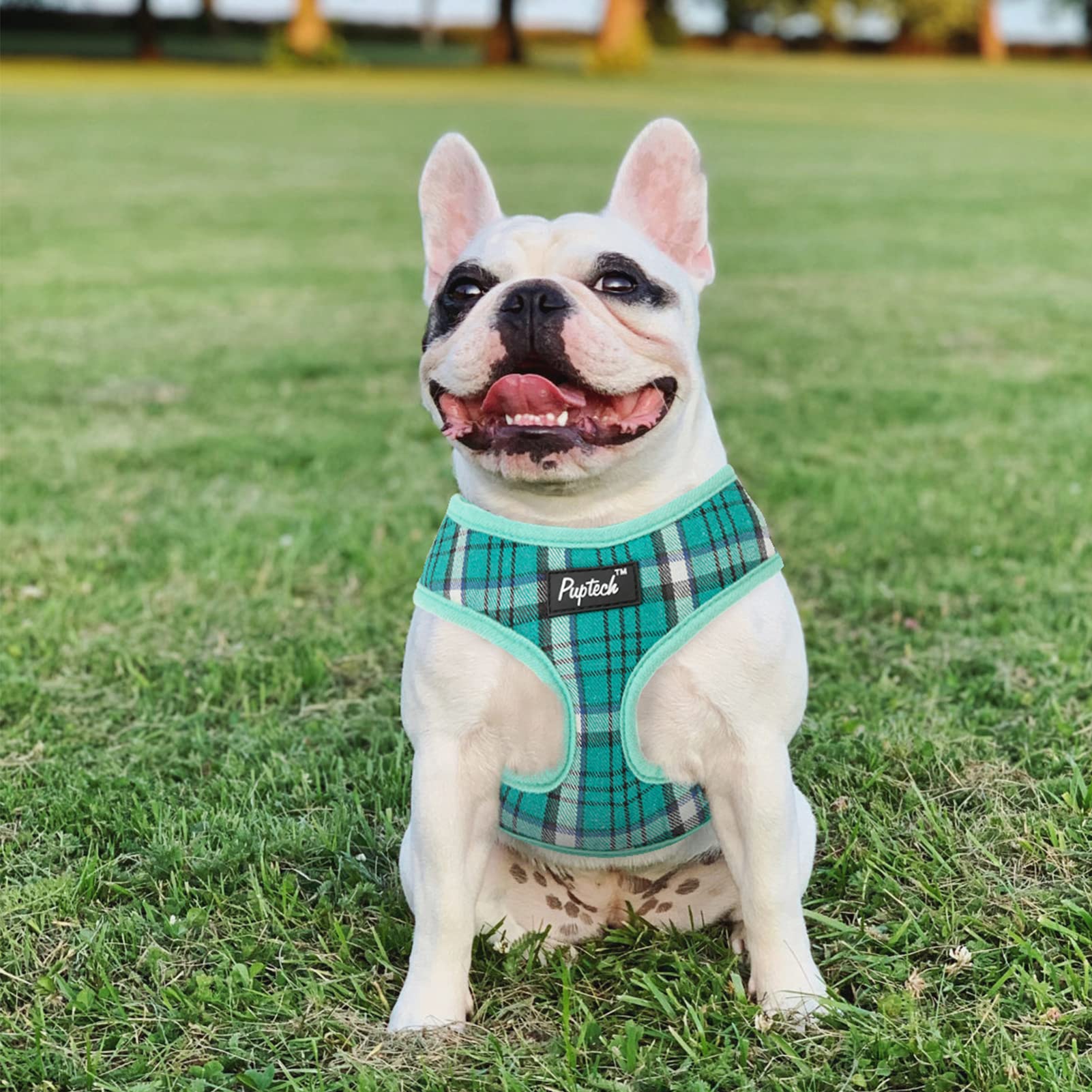 Pupteck Soft Mesh Dog Harness And Leash Set Pet Puppy Cat Comfort Padded Vest No Pull Harnesses, Green, M