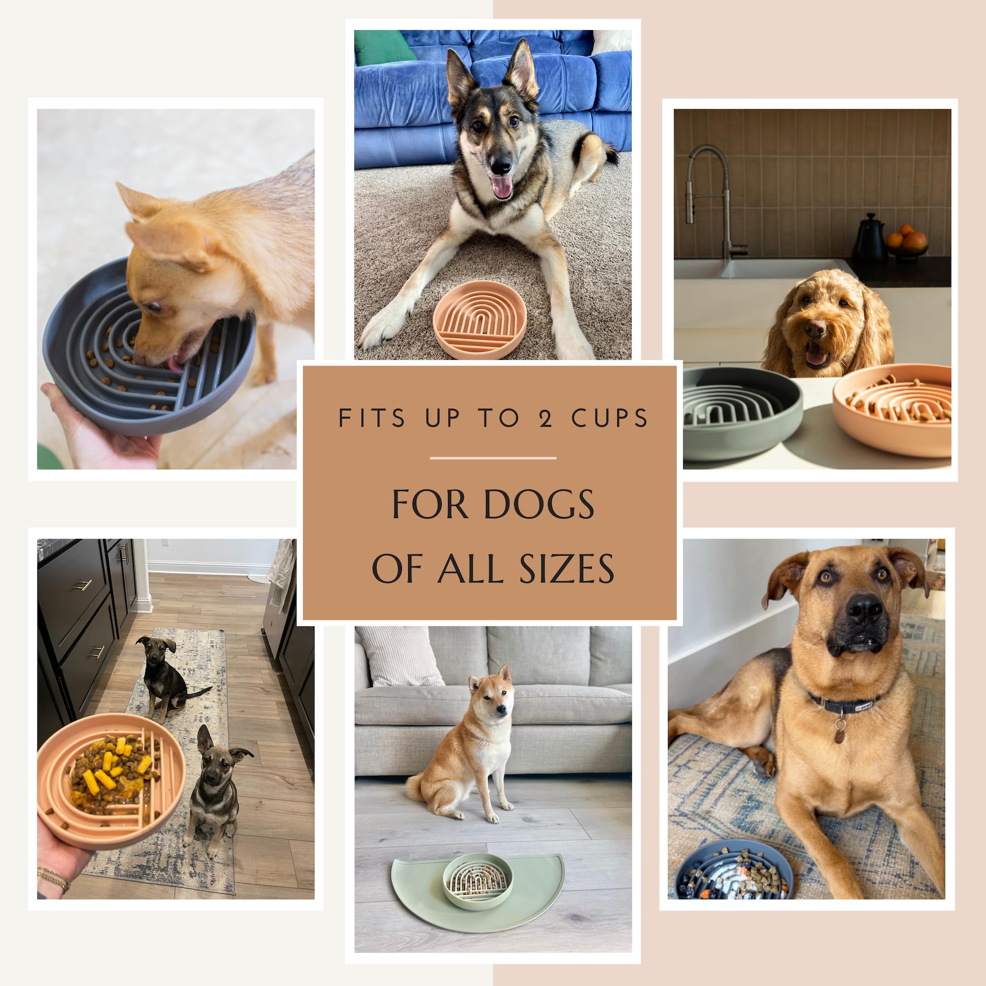 Should We Go? Slow Feeder Dog Bowl, Silicone Puzzle Mat, Medium Size, Honey Color