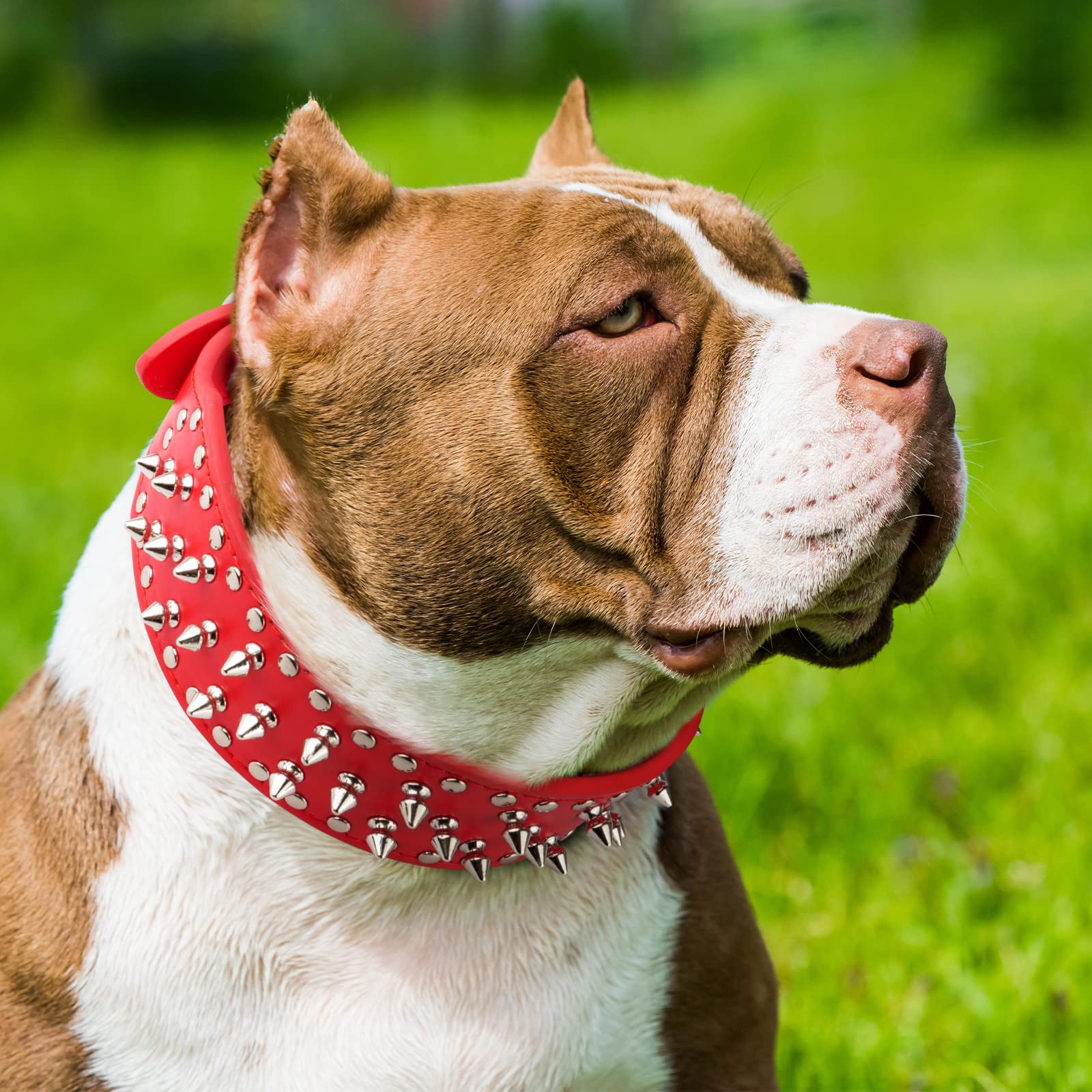 Epesiri Adjustable Wide Spiked Dog Collar, Mushroom Rivet Pu Leather Cat Dog Collars, Durable Spike Studded Pet Collar For Small