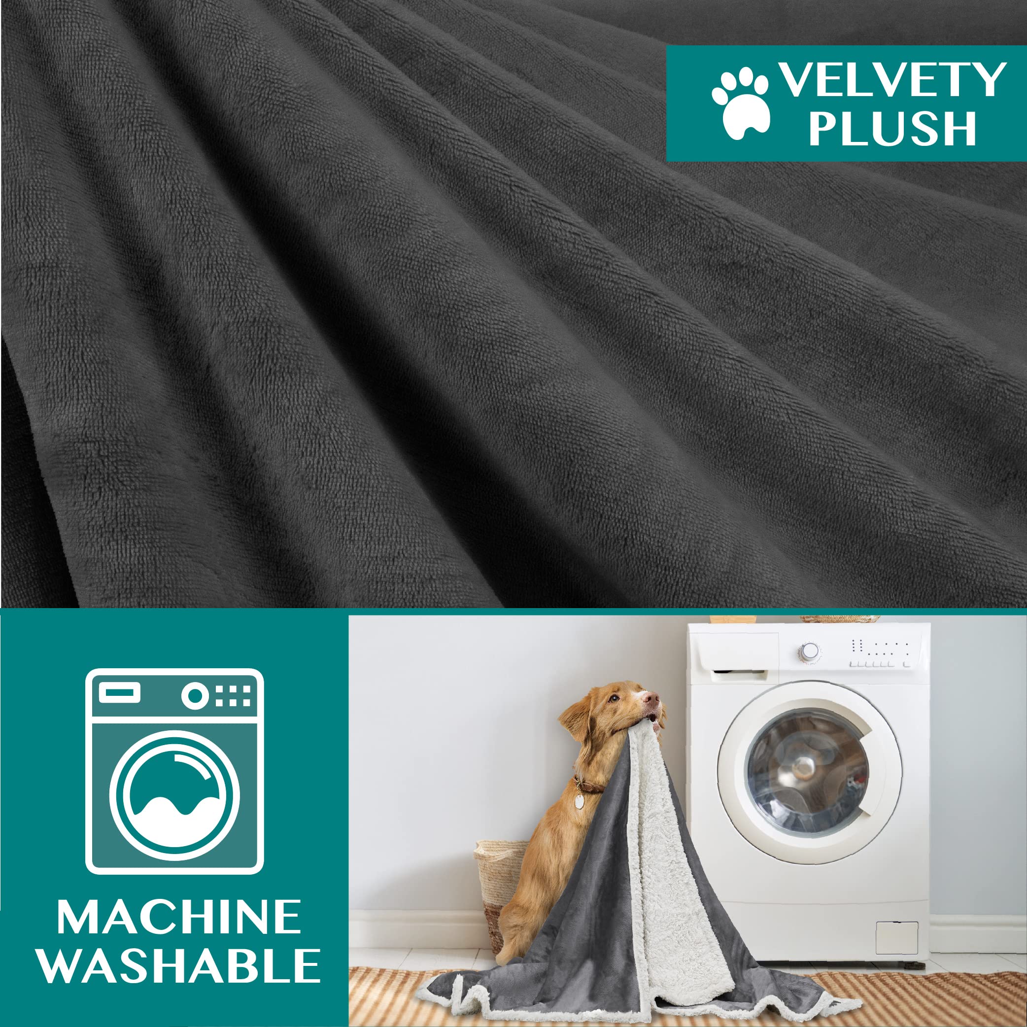 Petami Dog Blanket For Medium Large Dogs, Pet Bed Blanket Cat Puppy Kitten, Fleece Furniture Couch Cover Protector Sofa Car, Soft Sherpa Dog Throw Plush Reversible Washable, 40X60 Dark Gray