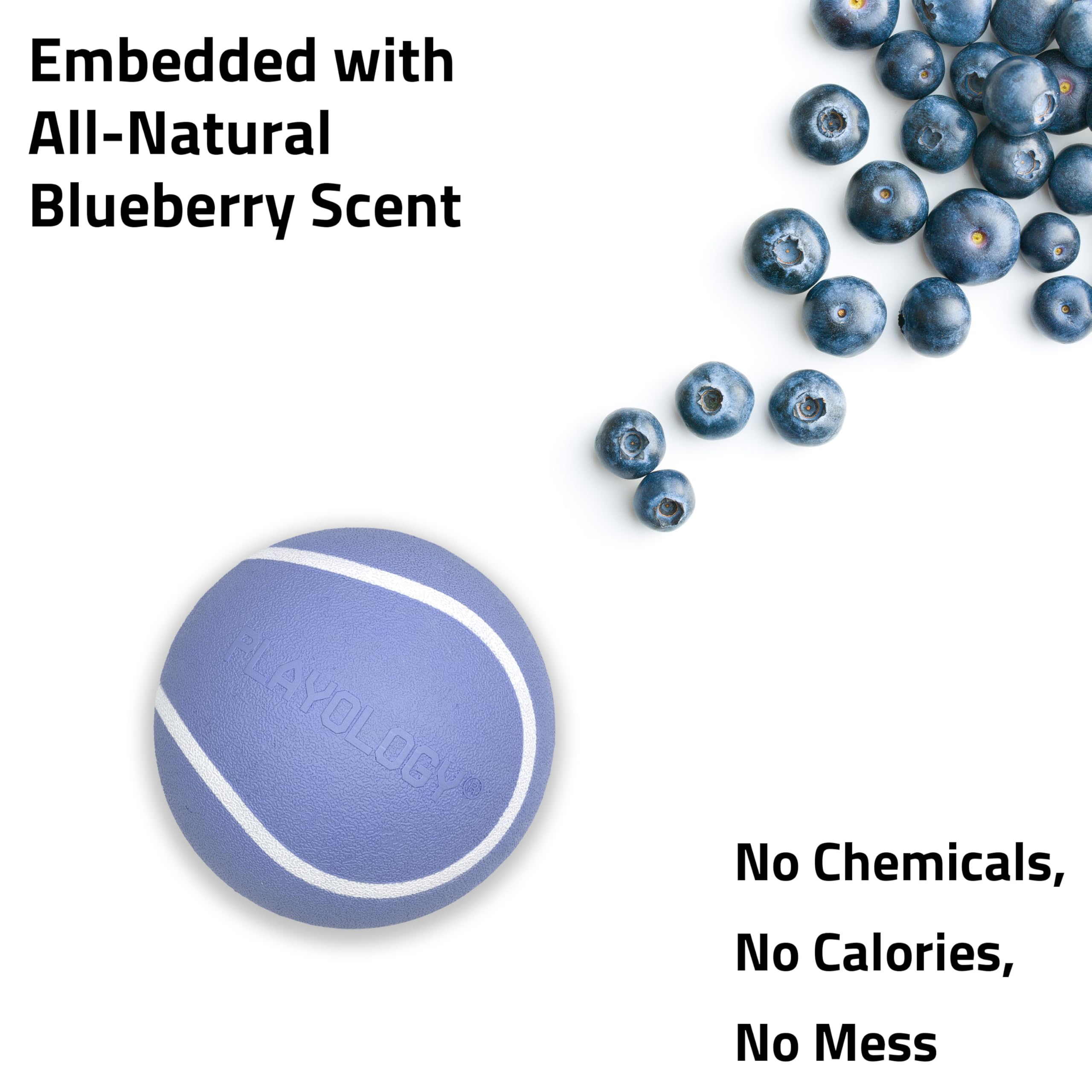 Playology Dog Toys | Squeaky Chew Ball - Bouncy Durable Floating Fetch Ball for Dogs | Jumbo Blueberry Scented Toy - Easy to Cle