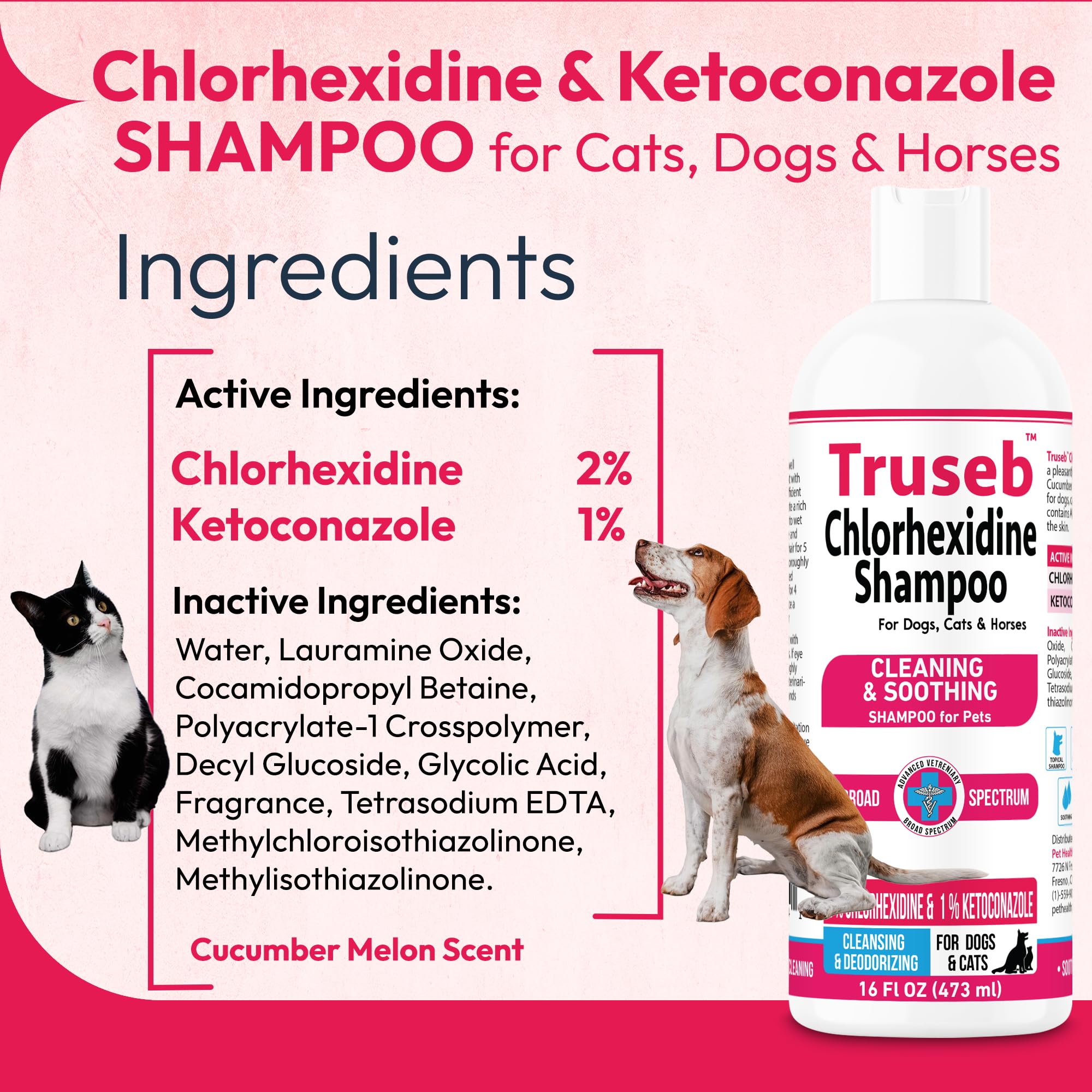 Pet Health Pharma Truseb Ketoconazole & Chlorhexidine Shampoo for Dogs, Cats & Horses - 16 oz with Aloe