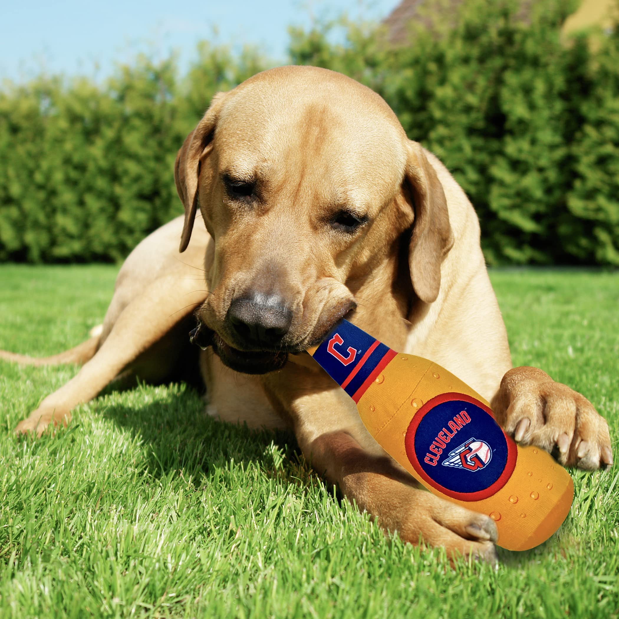 Pets First Mlb Cleveland Guardians Stadium Beer Bottle Plush Dog Toy-Cutest Plush Toy For Dogs & Cats With Inner Squeaker & Prem