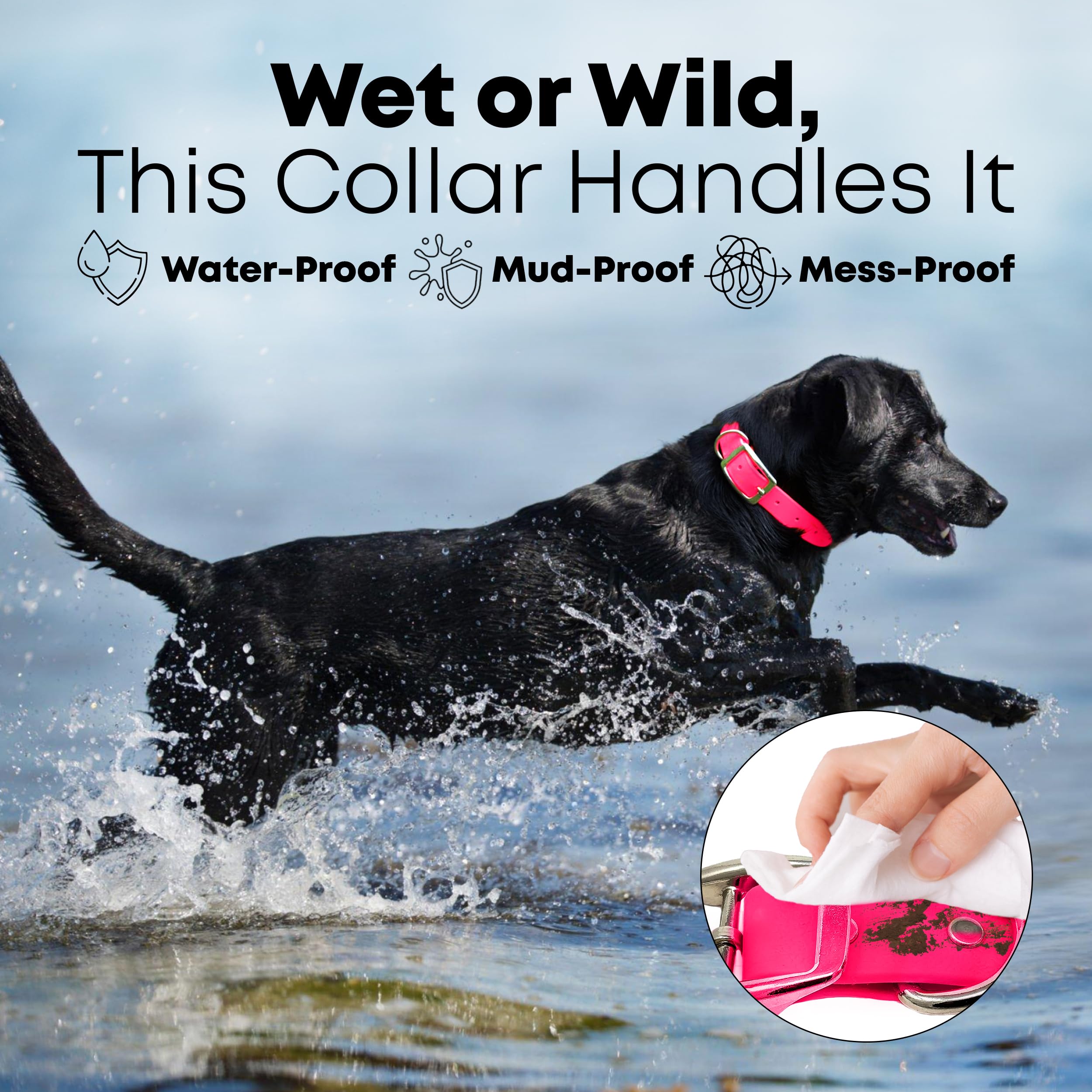 Regal Dog Products Small Pink Waterproof Dog Collar and Leash Set | Heavy Duty Double Buckle & D Ring - 5'ft Leash | Adjustable