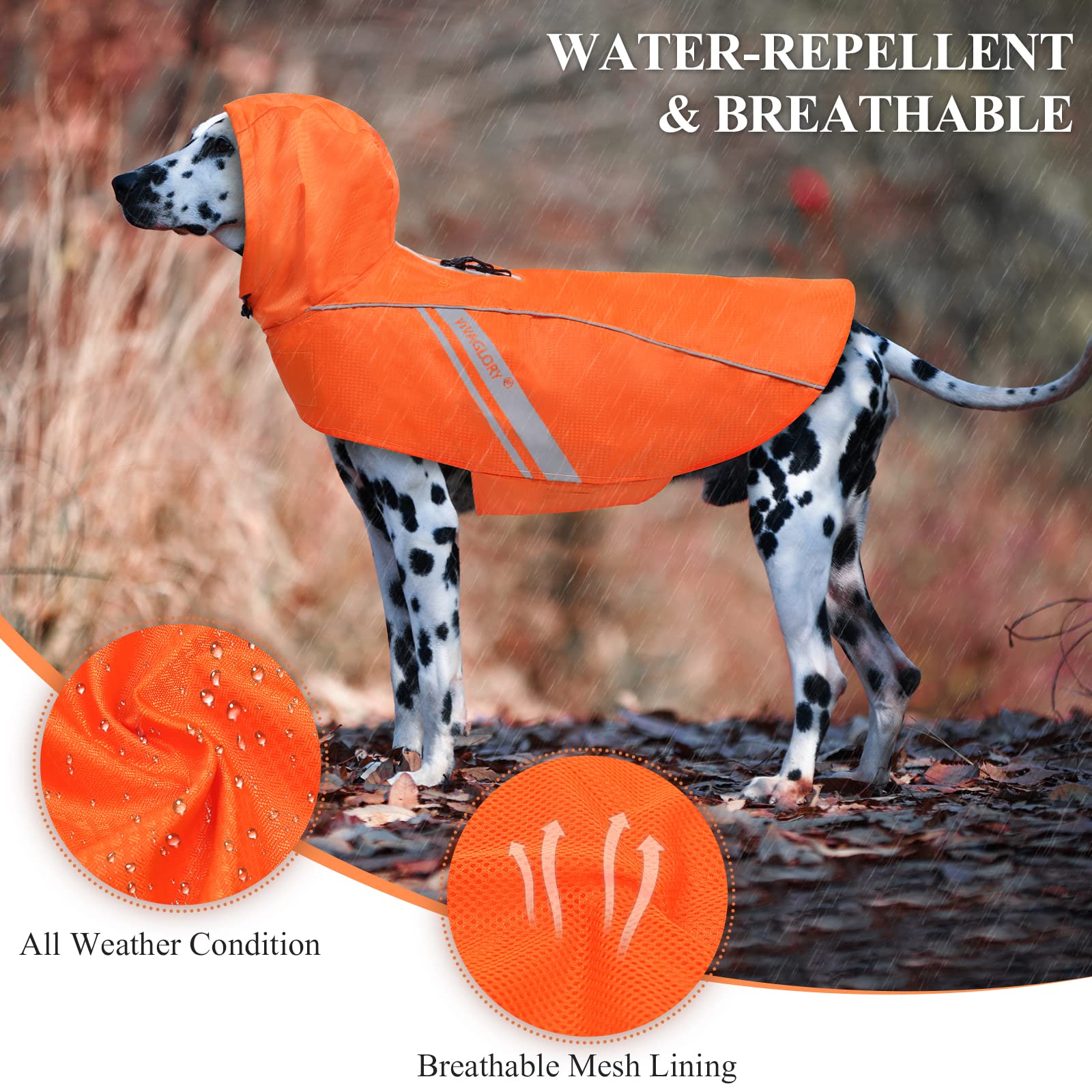 Vivaglory Dog Raincoat for Medium Dogs, Orange, Lightweight, Reflective, Easy On & Off, M (22"-26" Chest Girth)