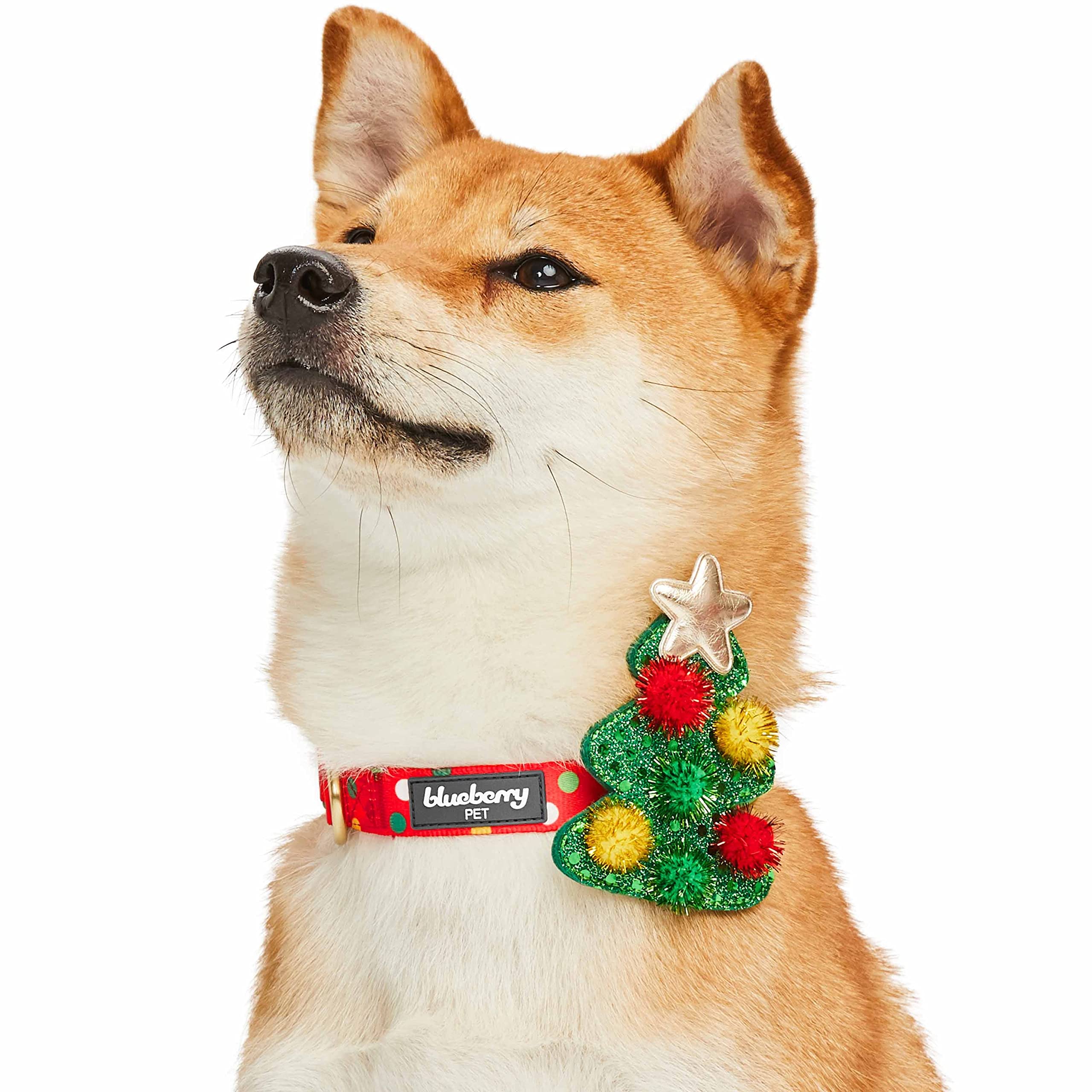 Blueberry Pet Christmas Polka Dots Adjustable Dog Collar, Medium, 14.5-20 Neck, Holiday Dog Collars For Medium Dogs, Christm